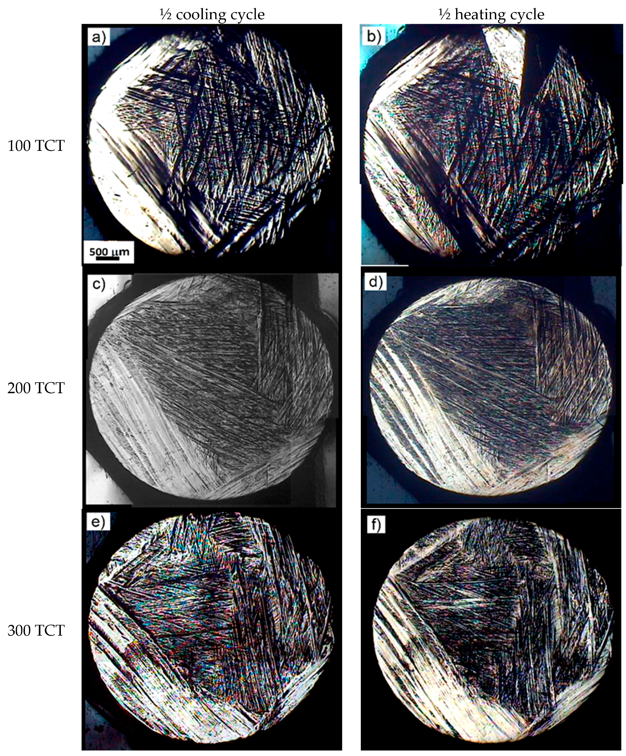 Metals 10 00219 g016