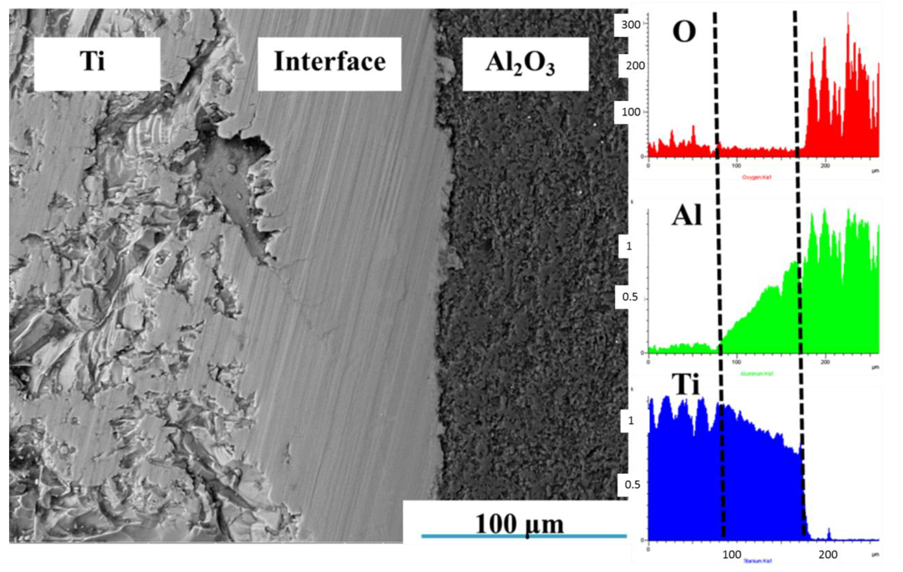 Metals 10 00259 g004