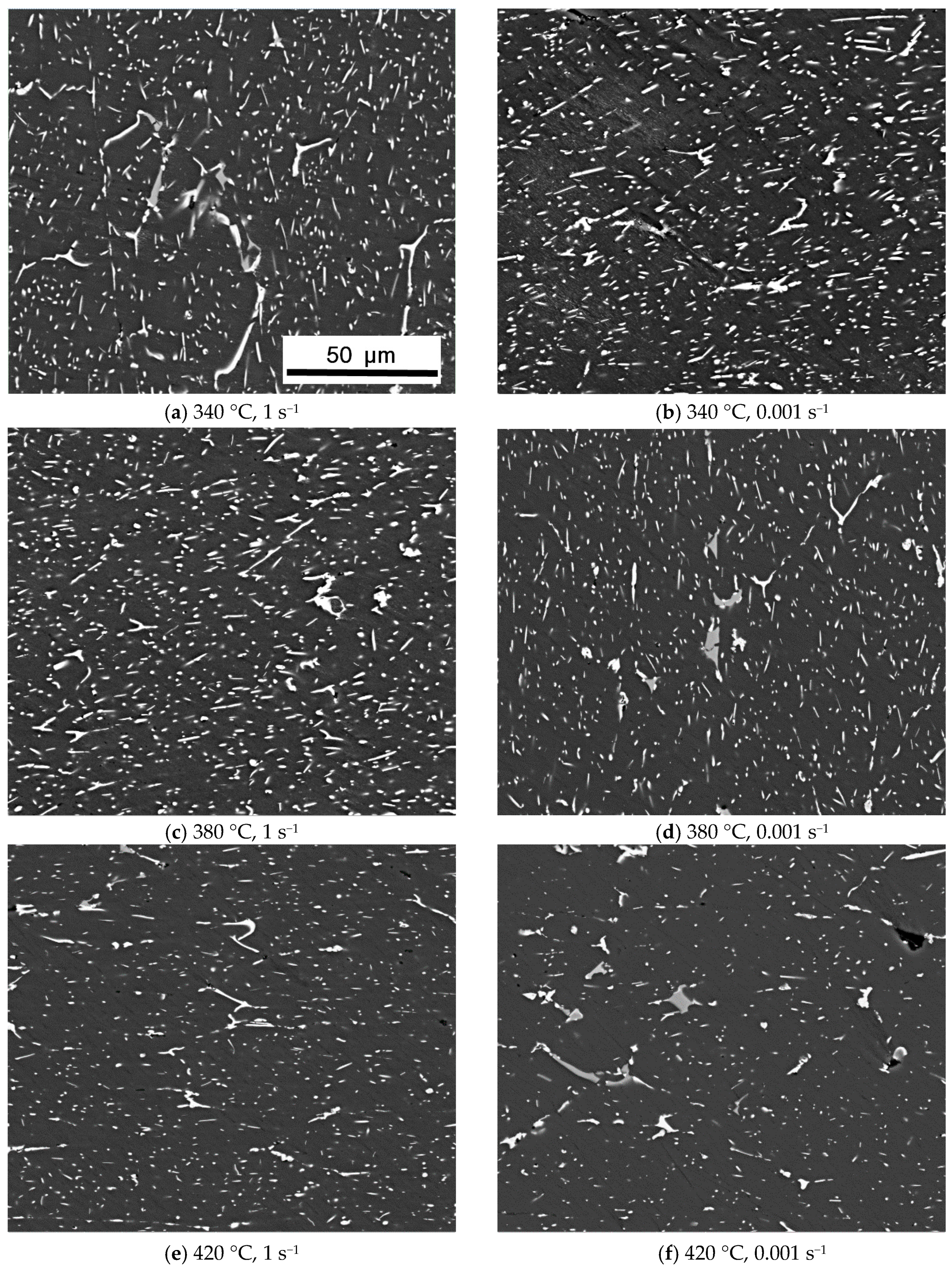 Metals 10 00263 g005a