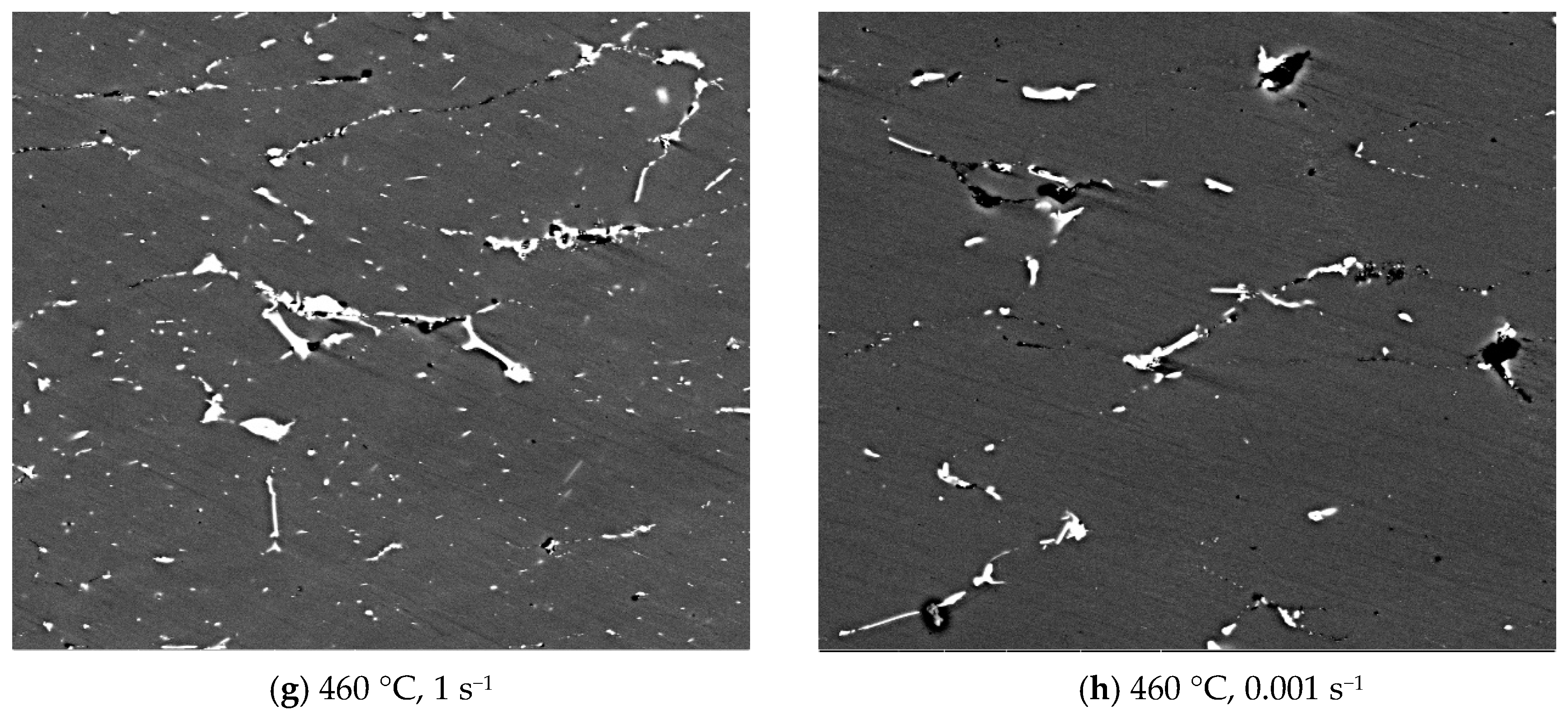 Metals 10 00263 g005b