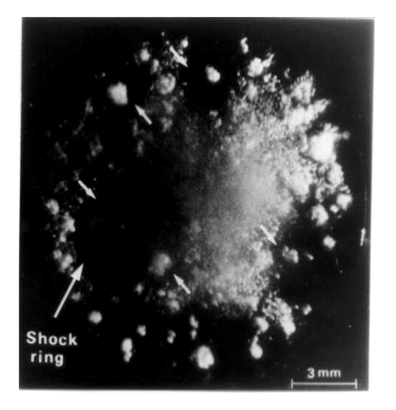 Metals 10 00270 g010