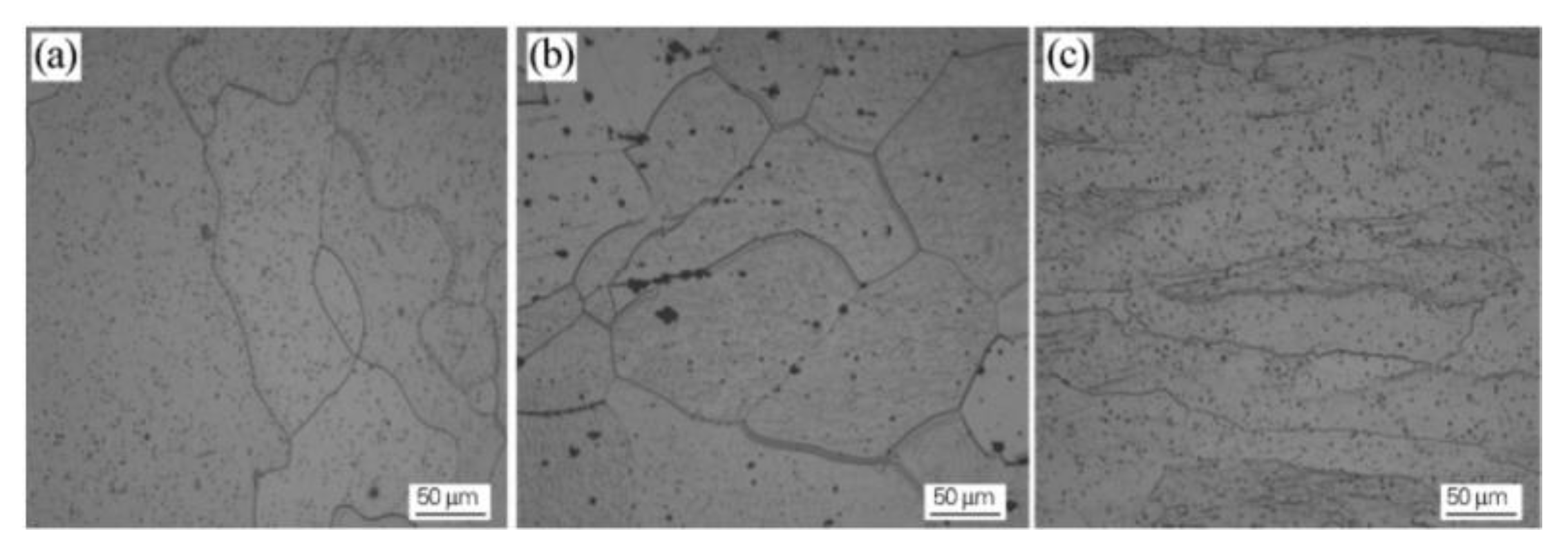 Metals 10 00279 g005