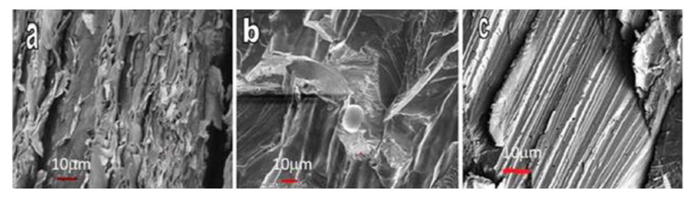 Metals 10 00279 g007