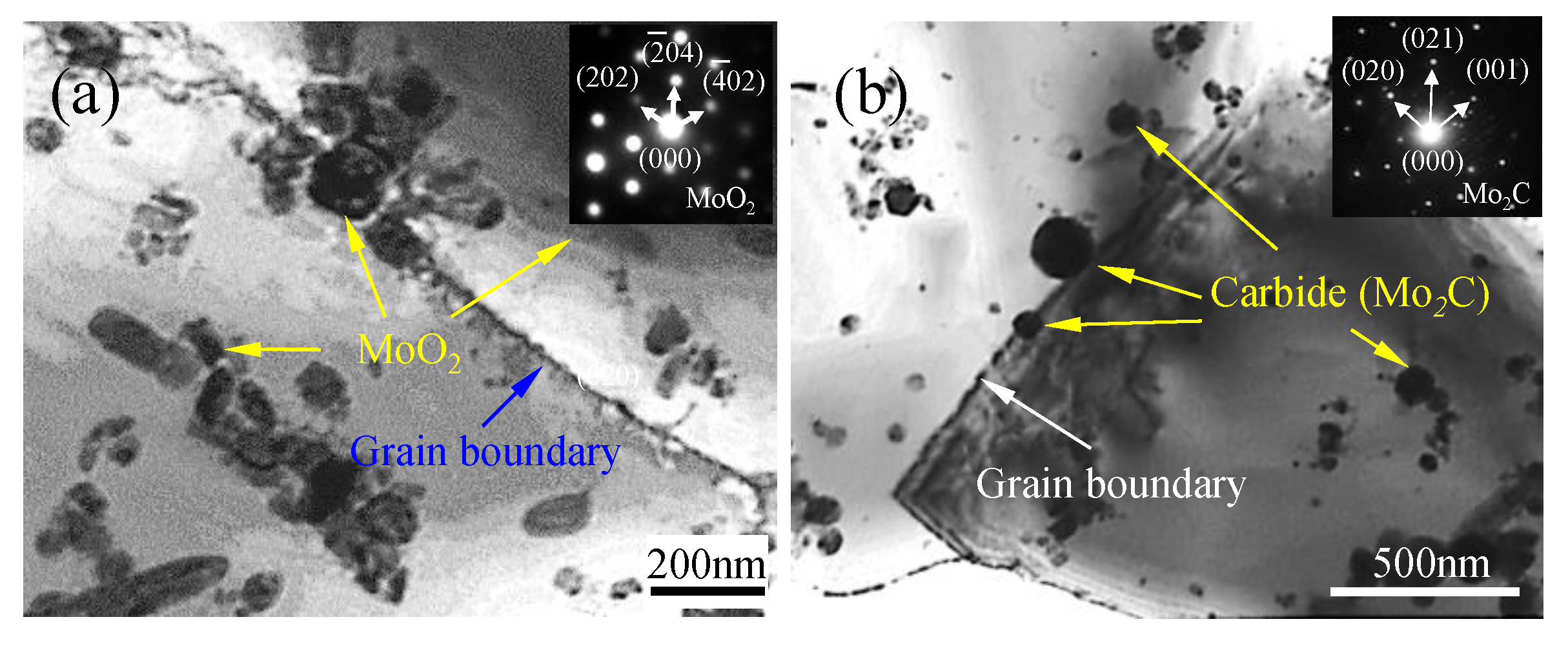 Metals 10 00279 g010
