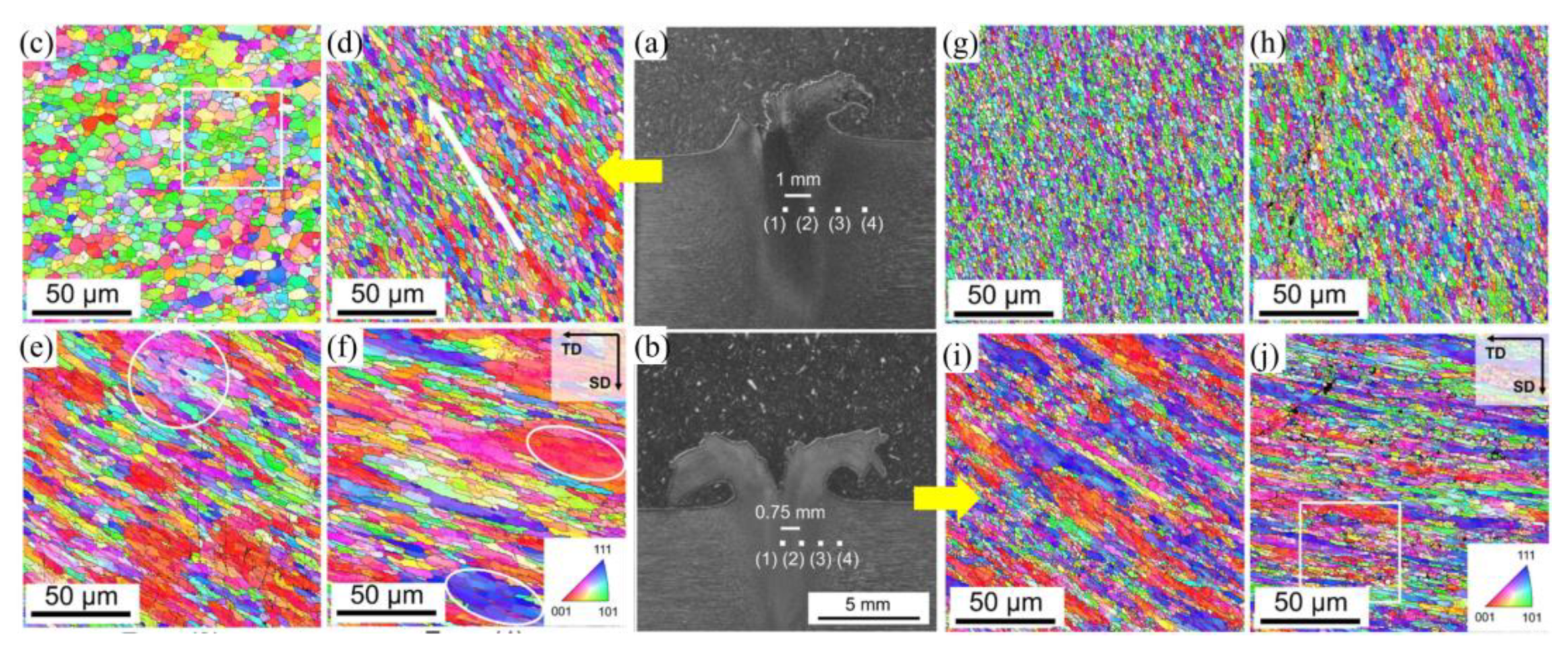 Metals 10 00279 g019