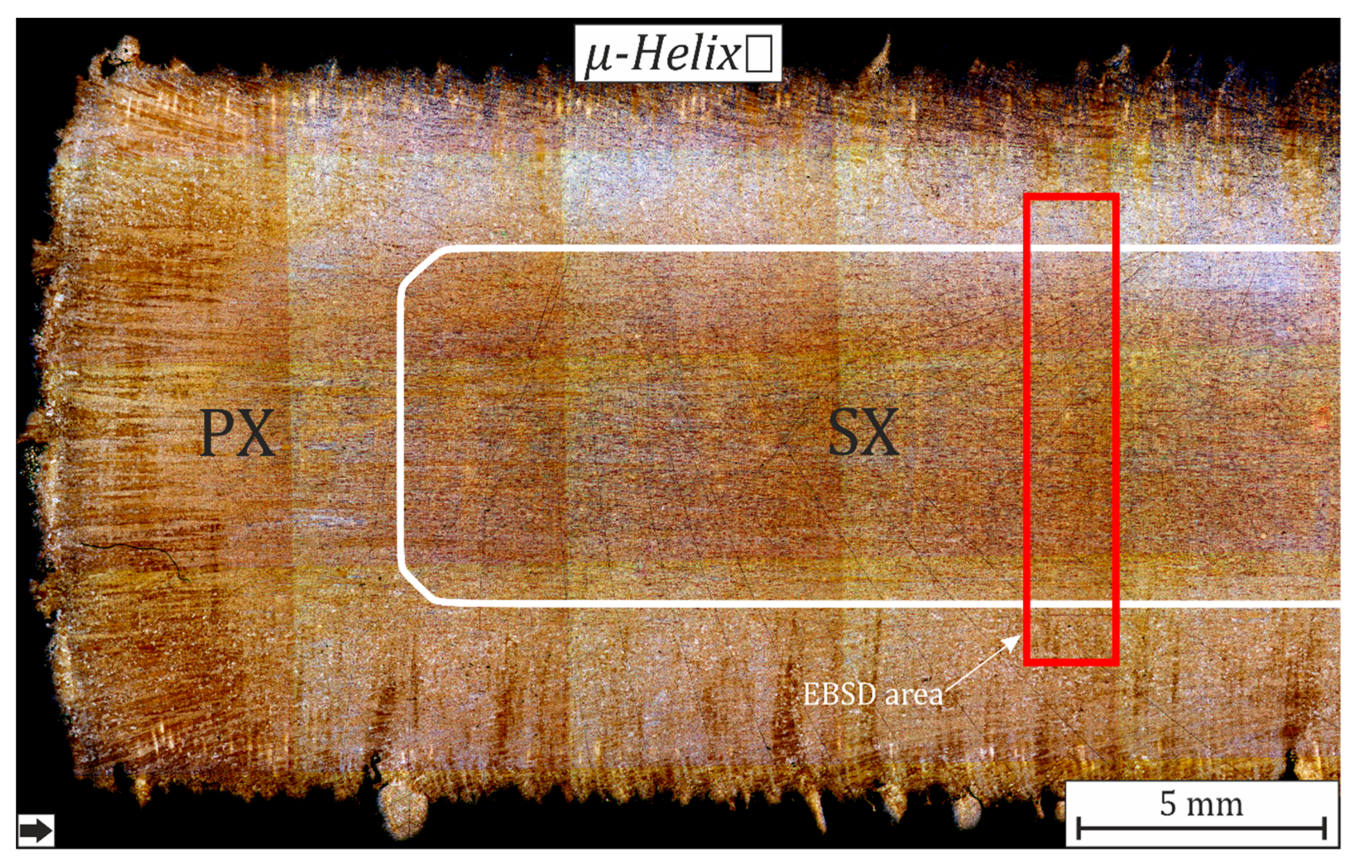 Metals 10 00313 g005
