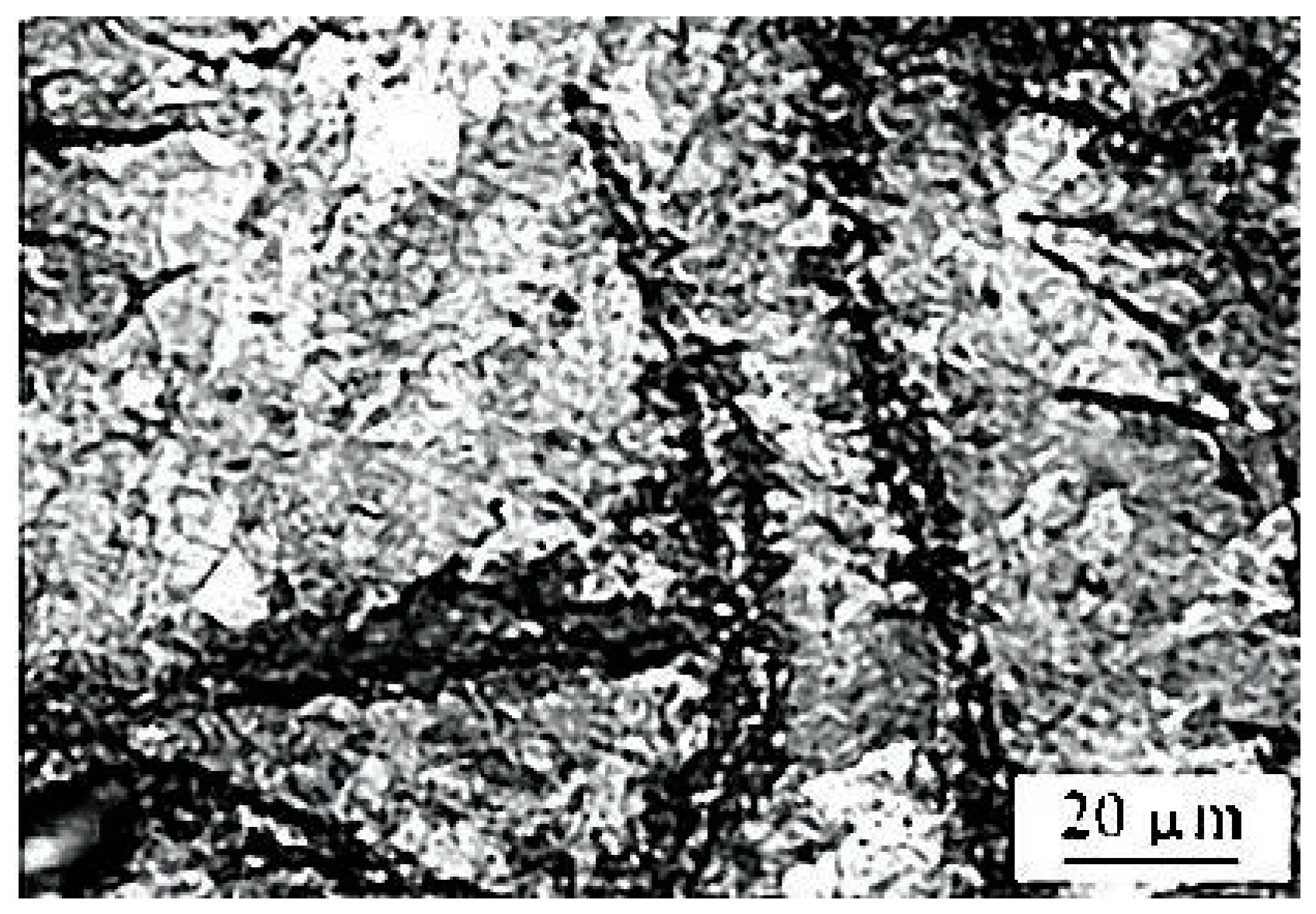 Metals 10 00377 g003