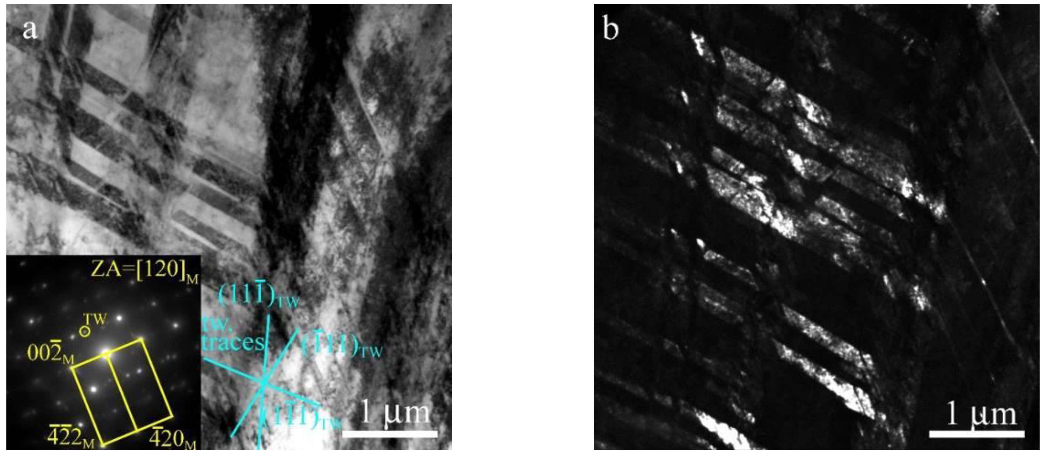 Metals 10 00493 g004