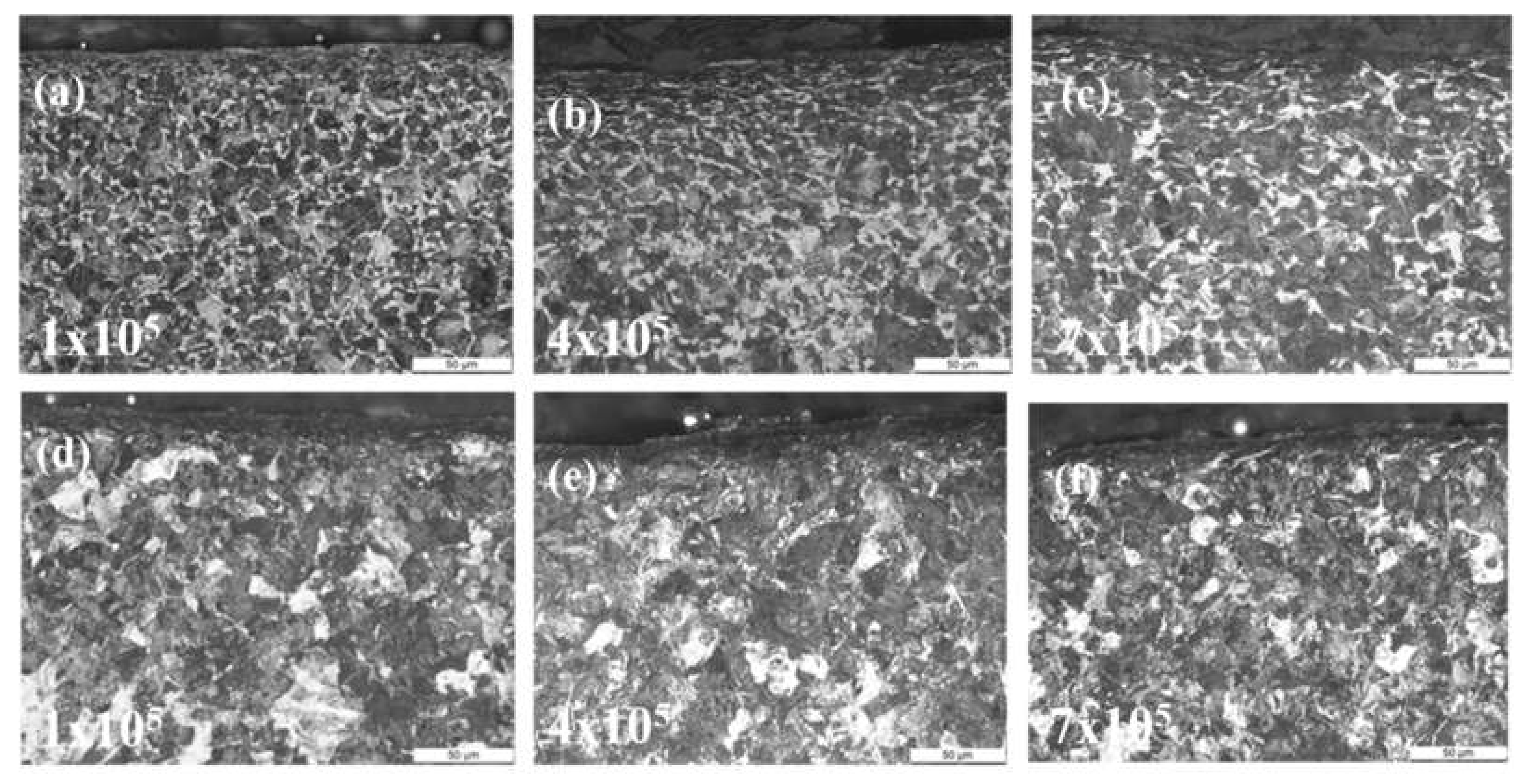 Metals 10 00513 g007