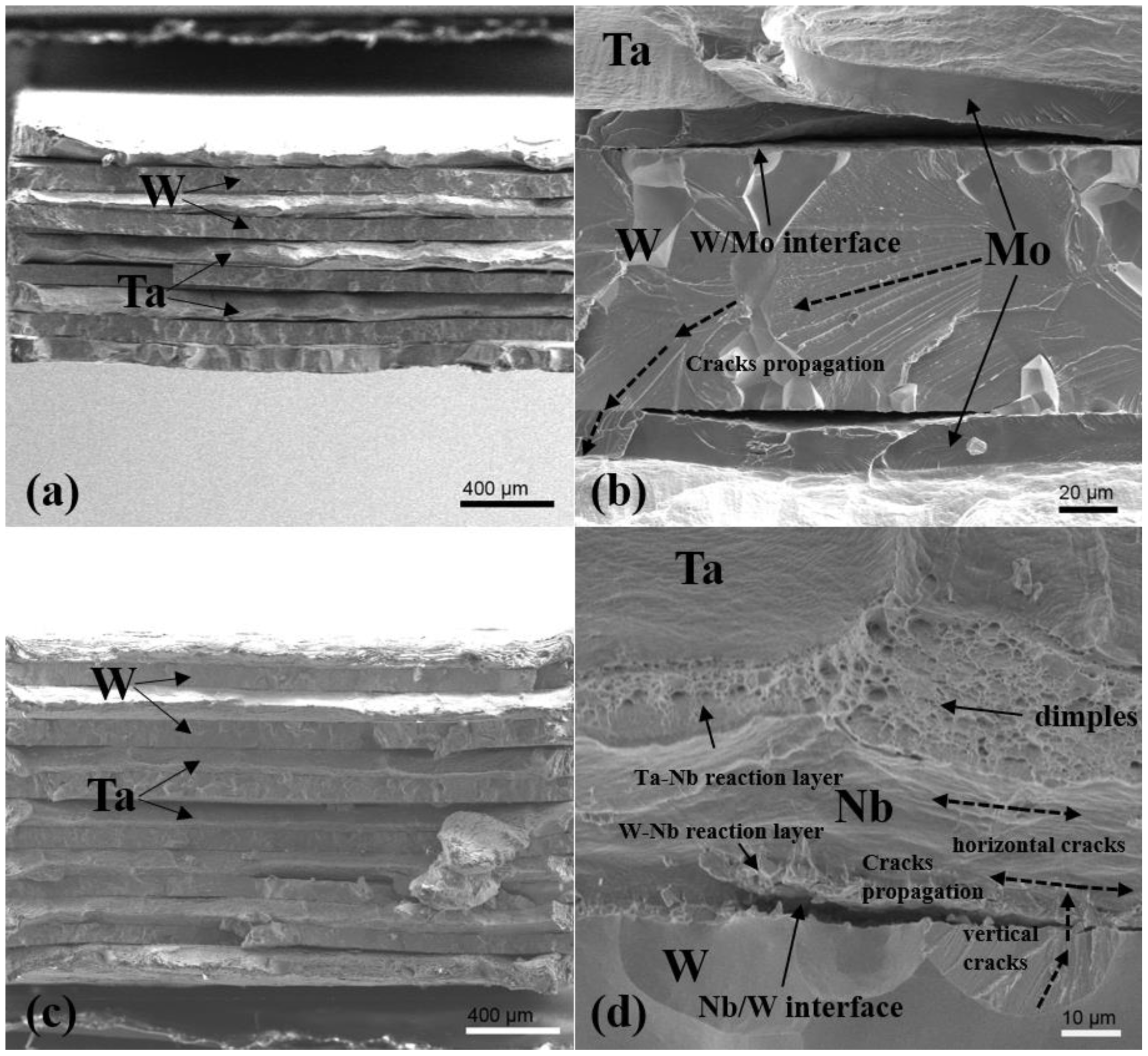 Metals 10 00558 g005