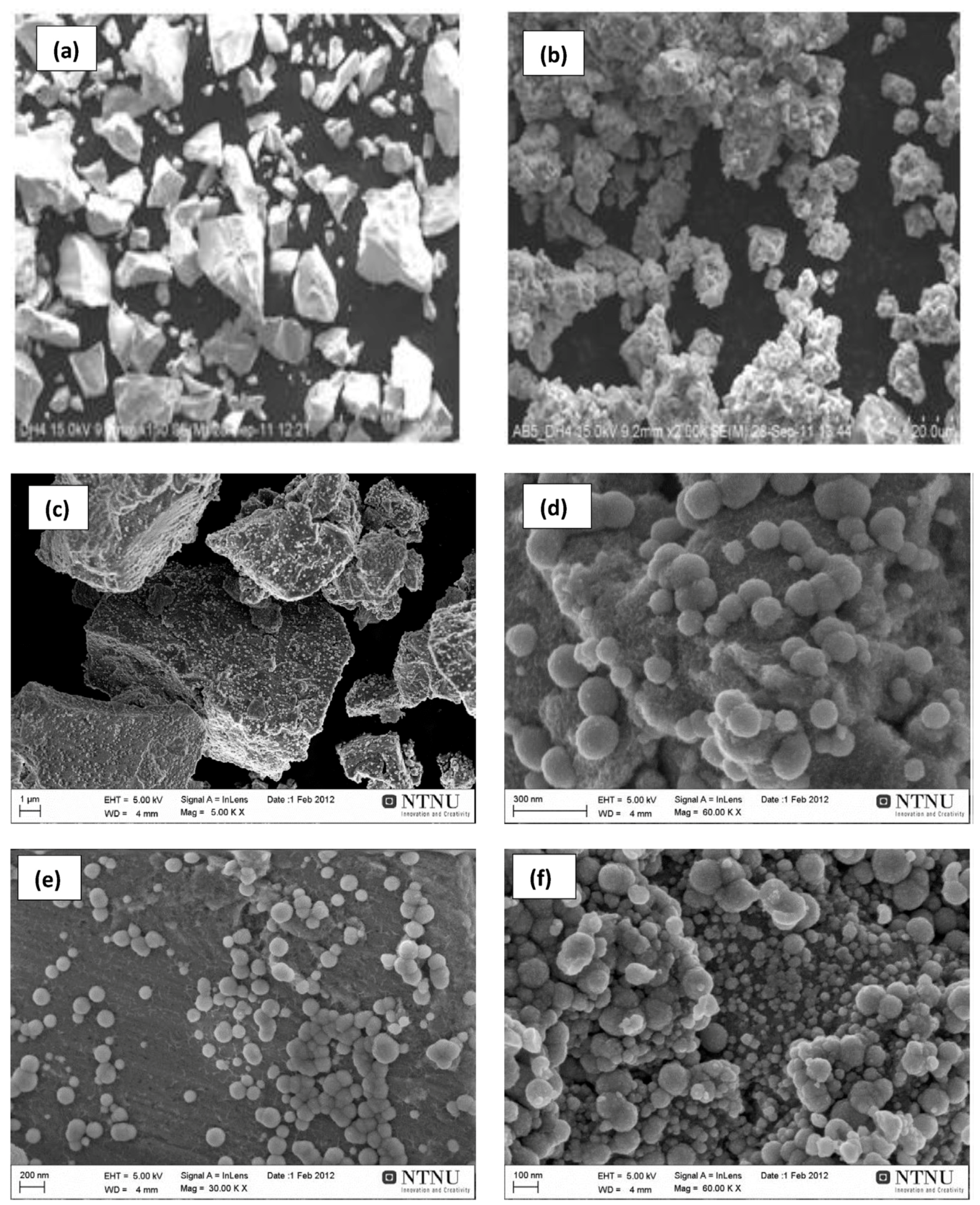 Metals 10 00562 g011 Metals 10 00562 g011