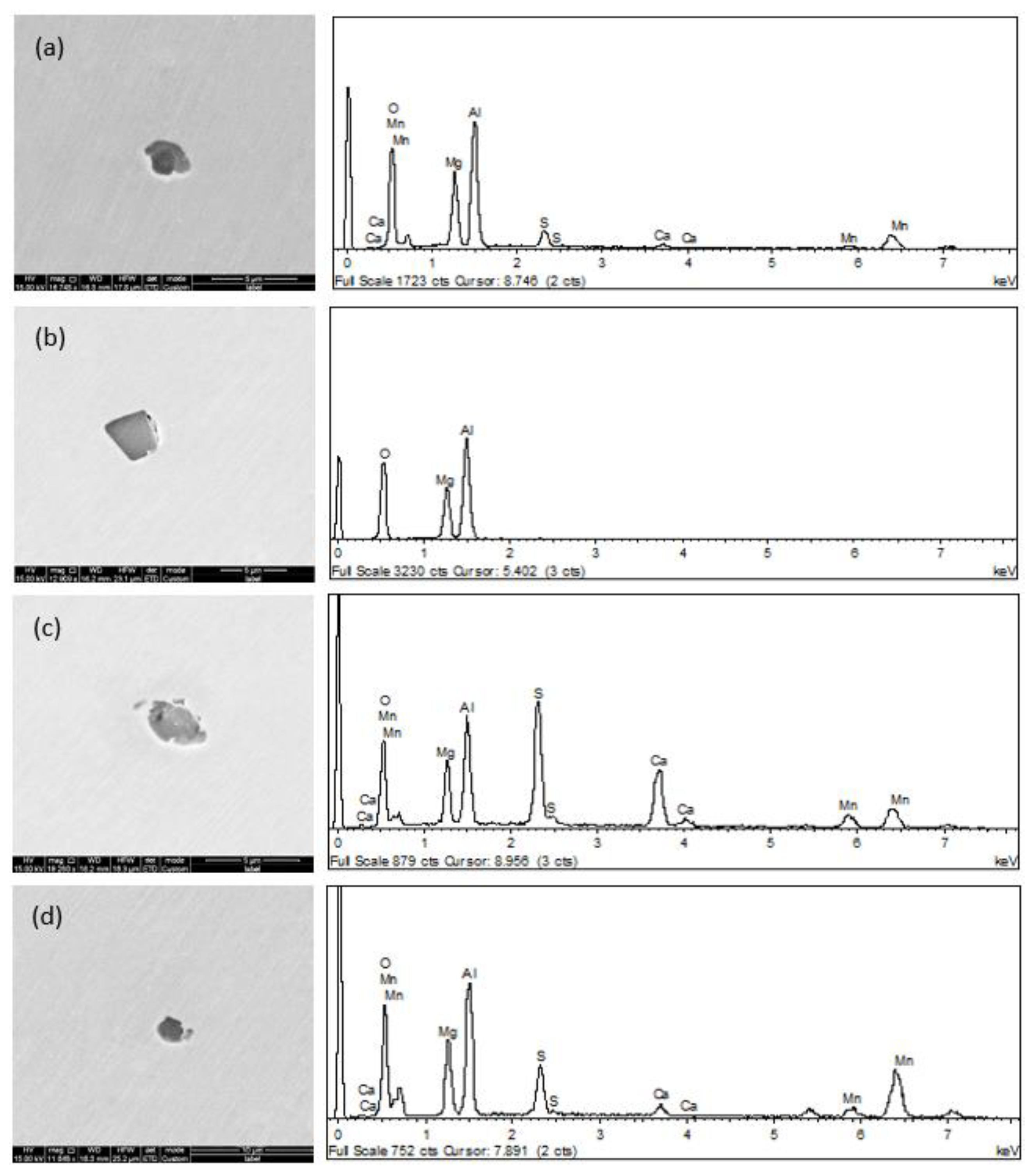 Metals 10 00570 g005