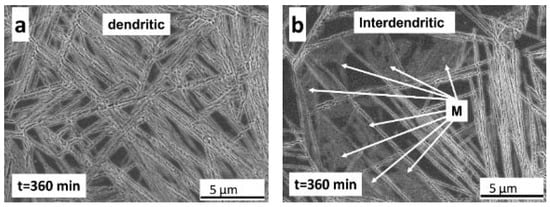 Metals | Free Full-Text | Effect Of The Microsegregation On Martensitic ...