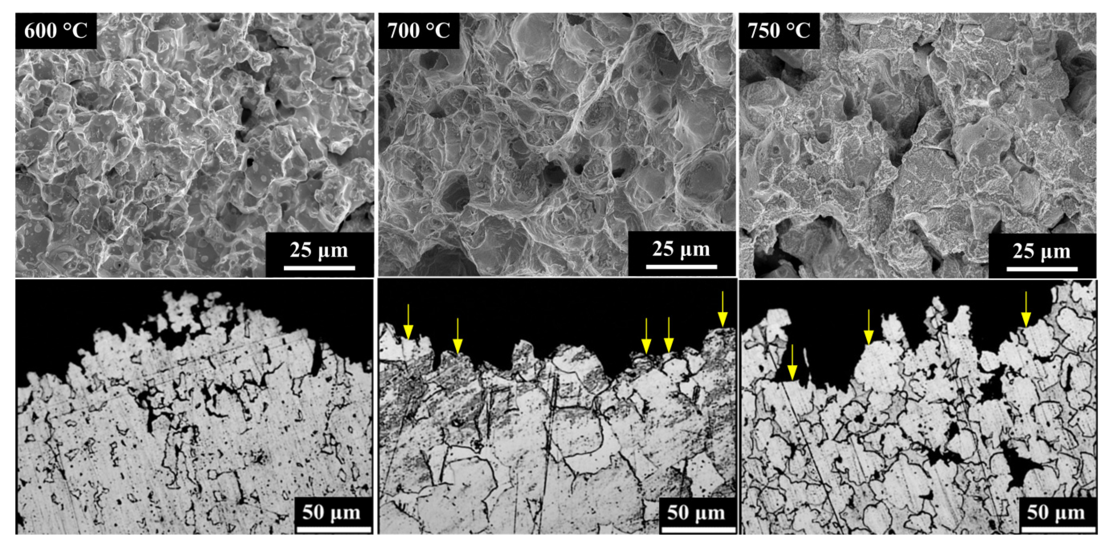 Metals 10 00722 g007b