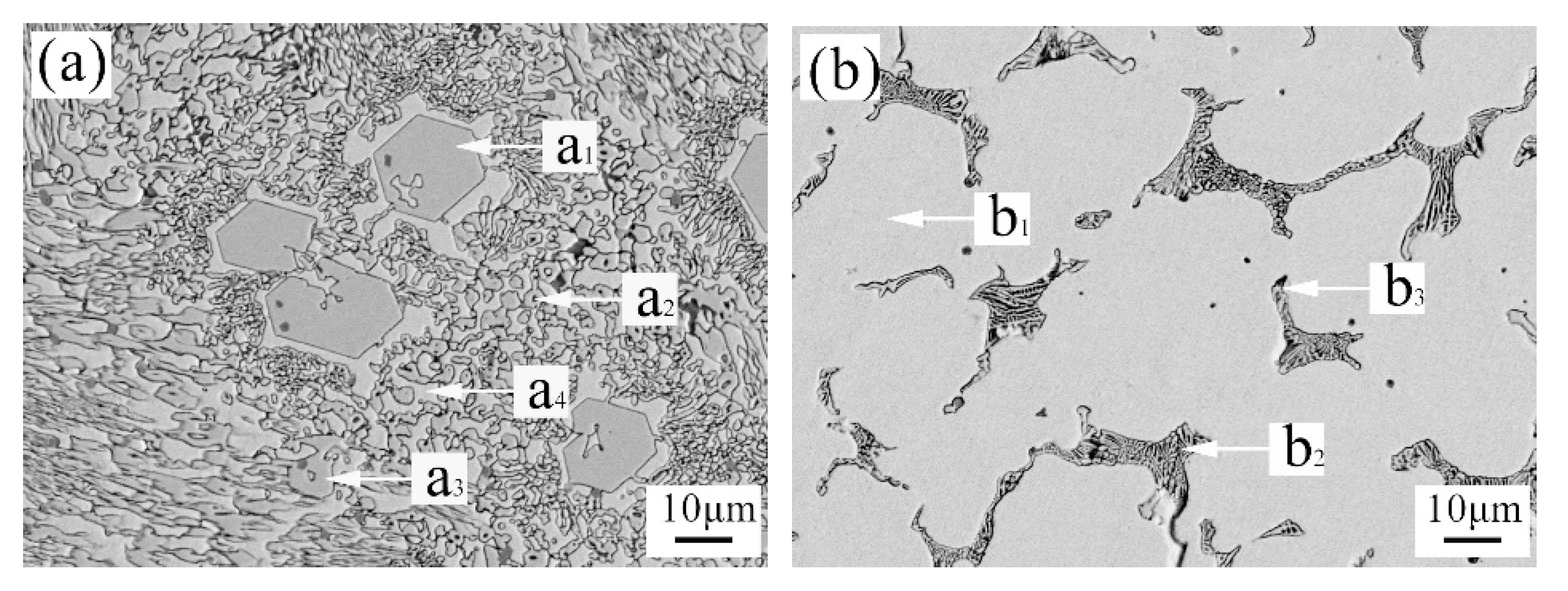 Metals 10 00740 g007