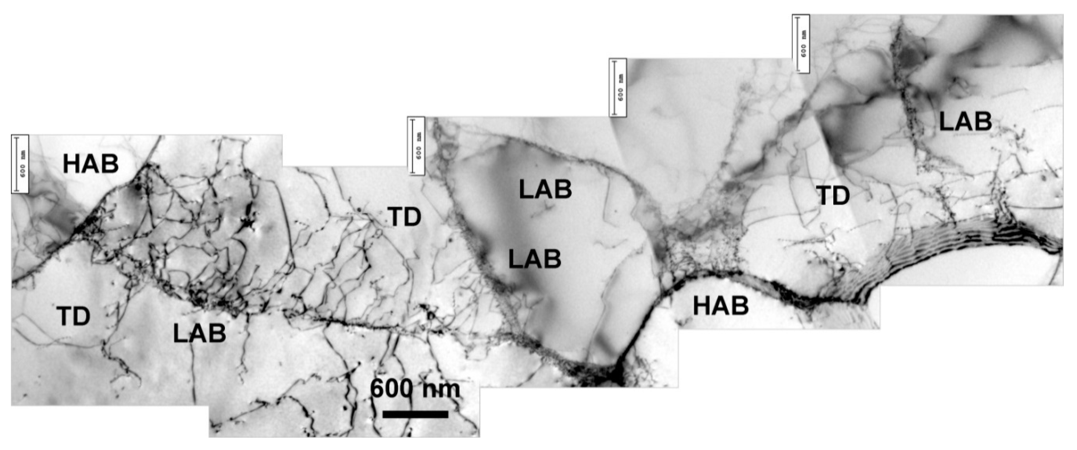 Metals 10 00751 g005