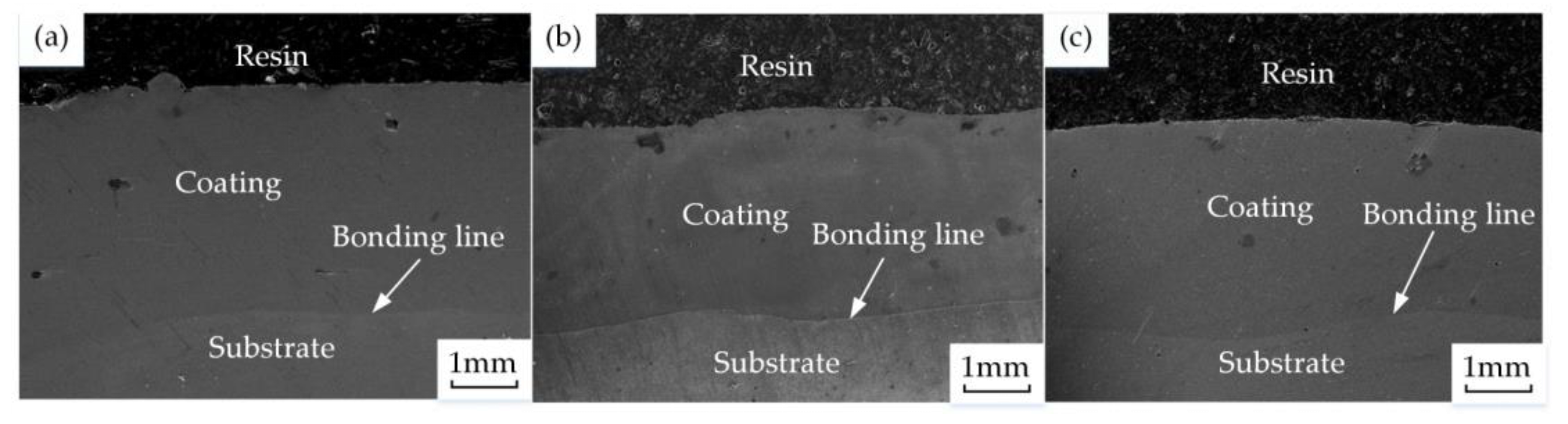 Metals 10 00785 g001