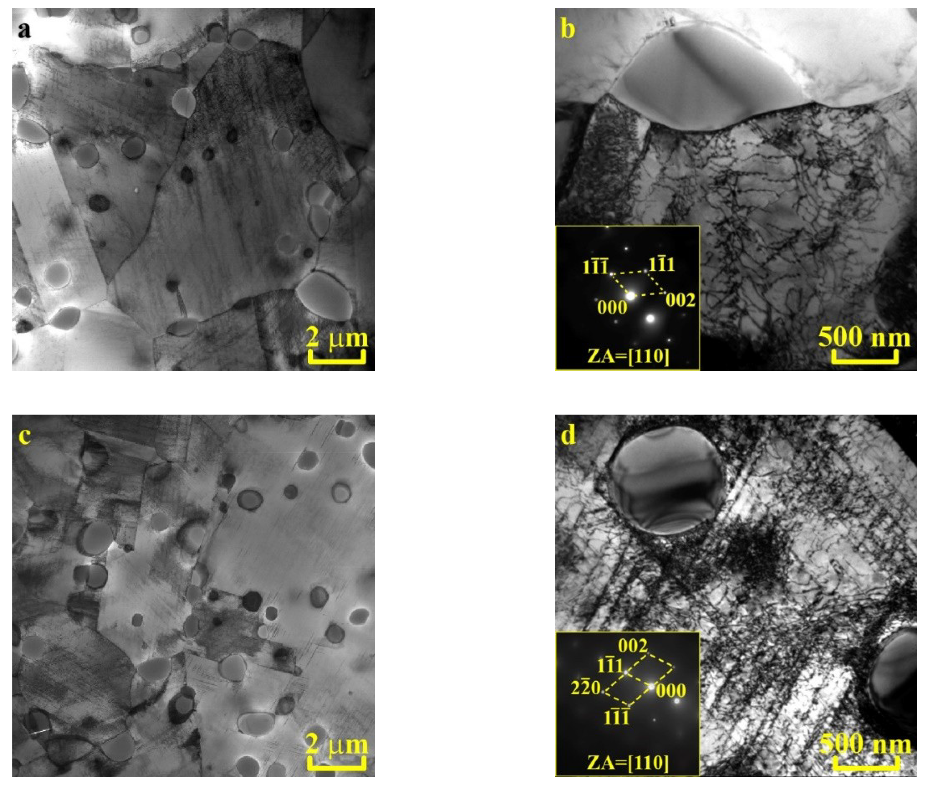 Metals 10 00786 g005a