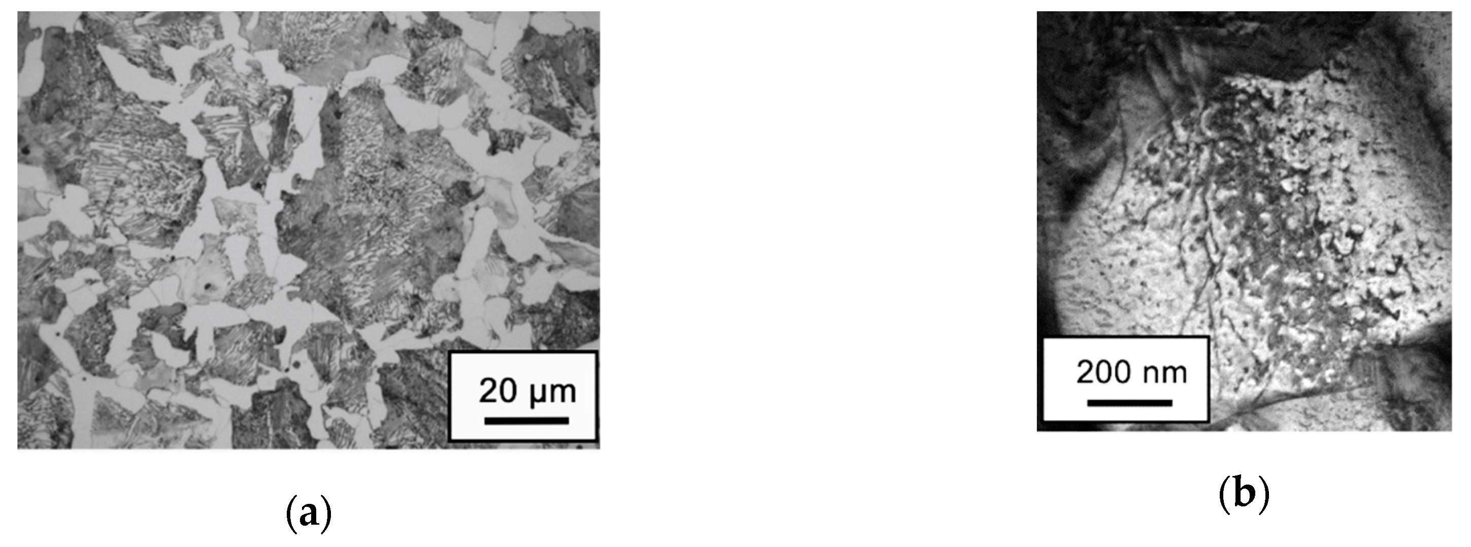 Metals 10 00798 g002