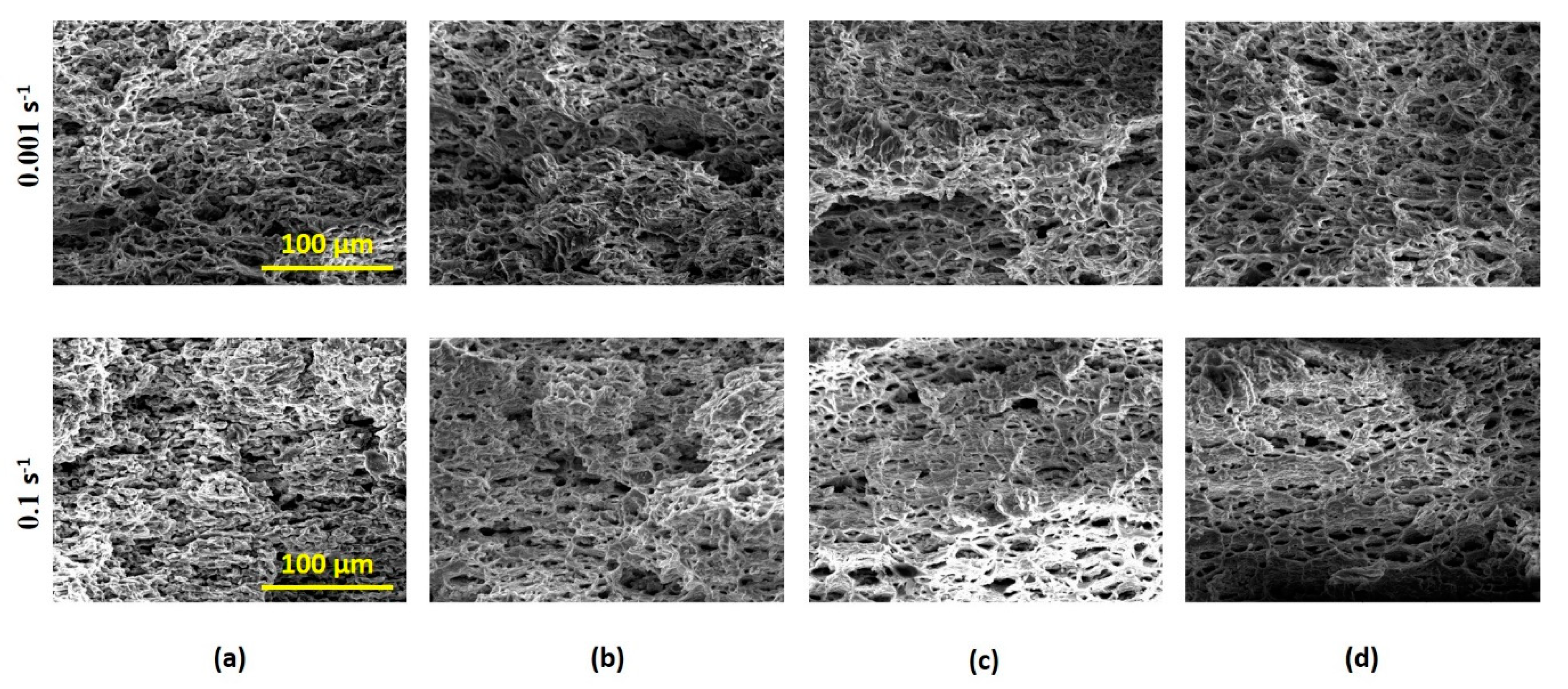 Metals 10 00884 g008