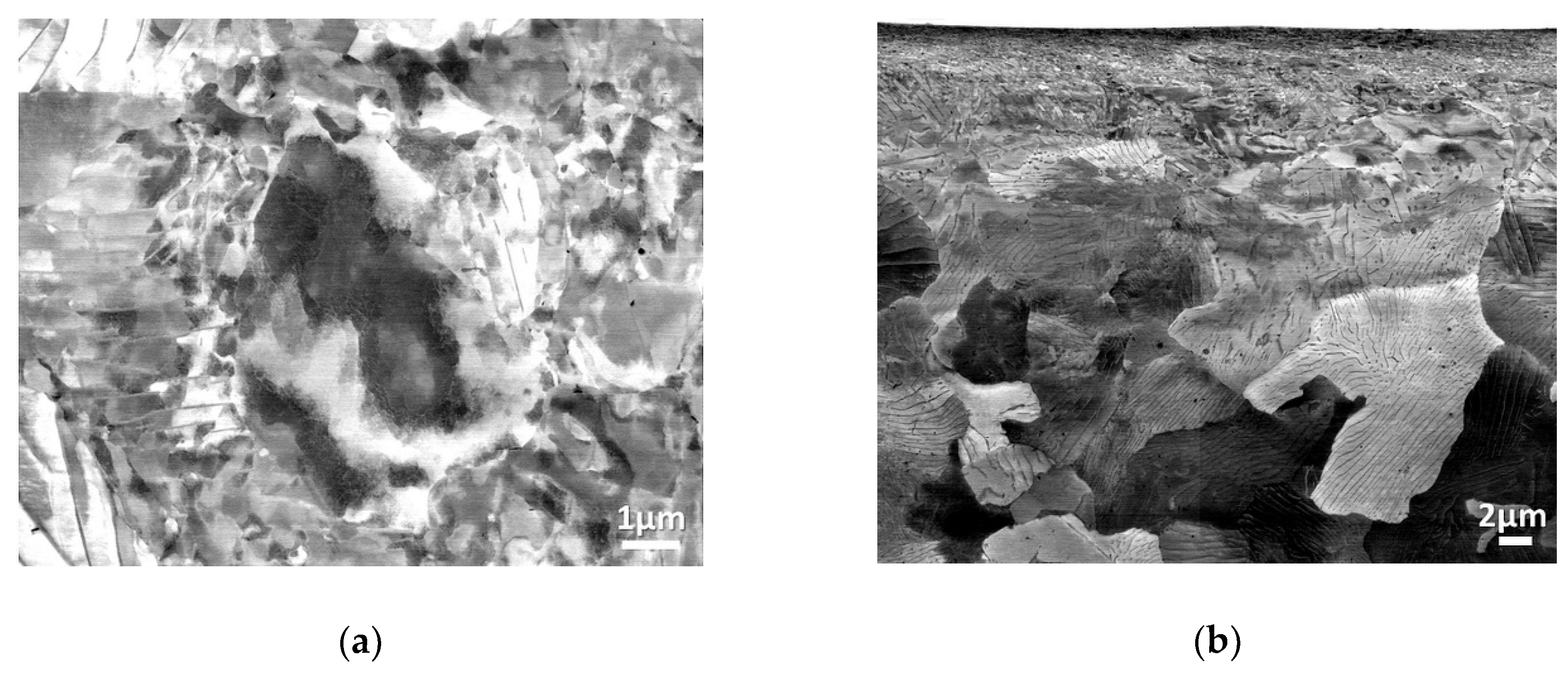 Metals 10 00895 g007a Metals 10 00895 g007a