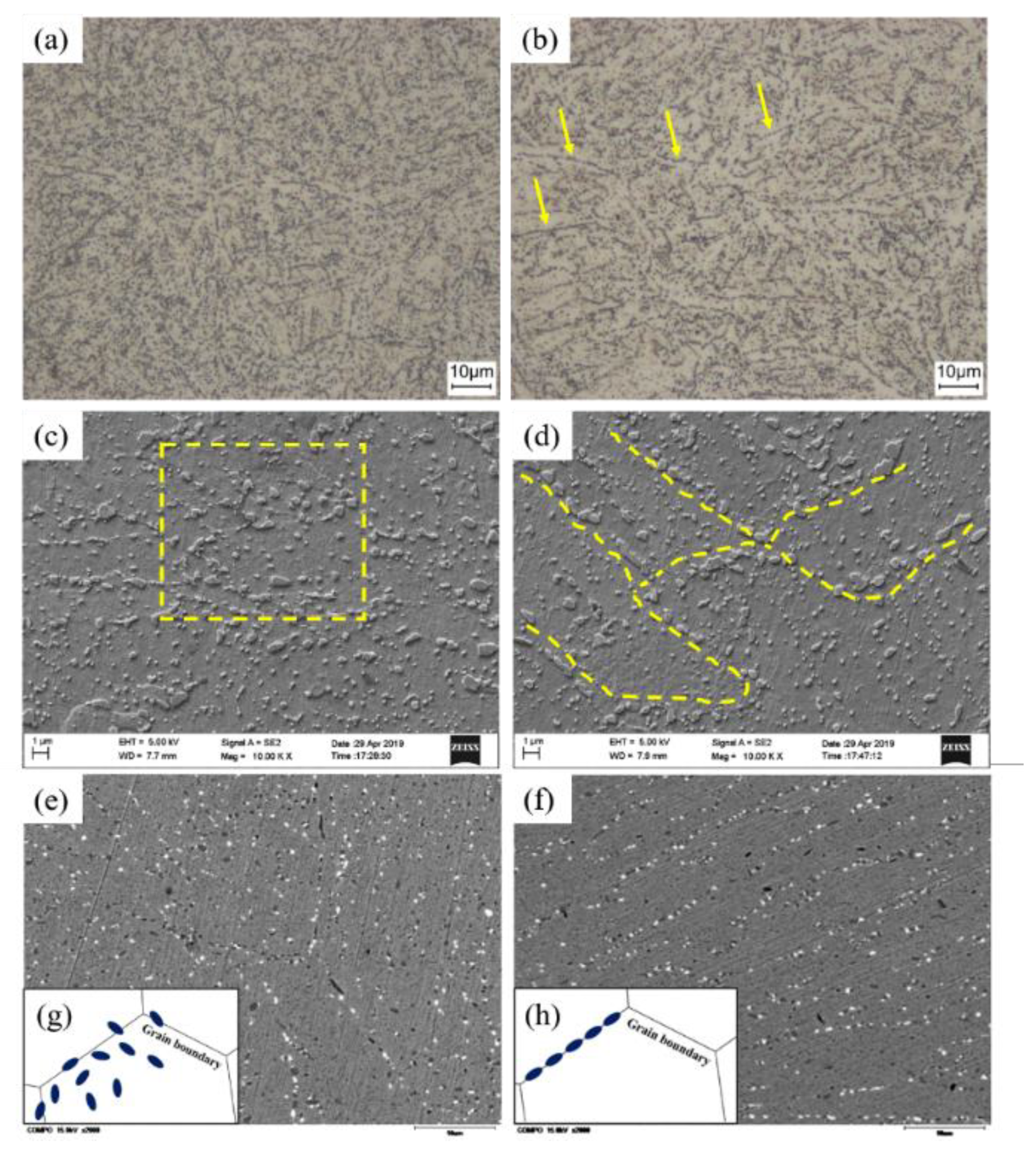 Metals 10 00918 g002