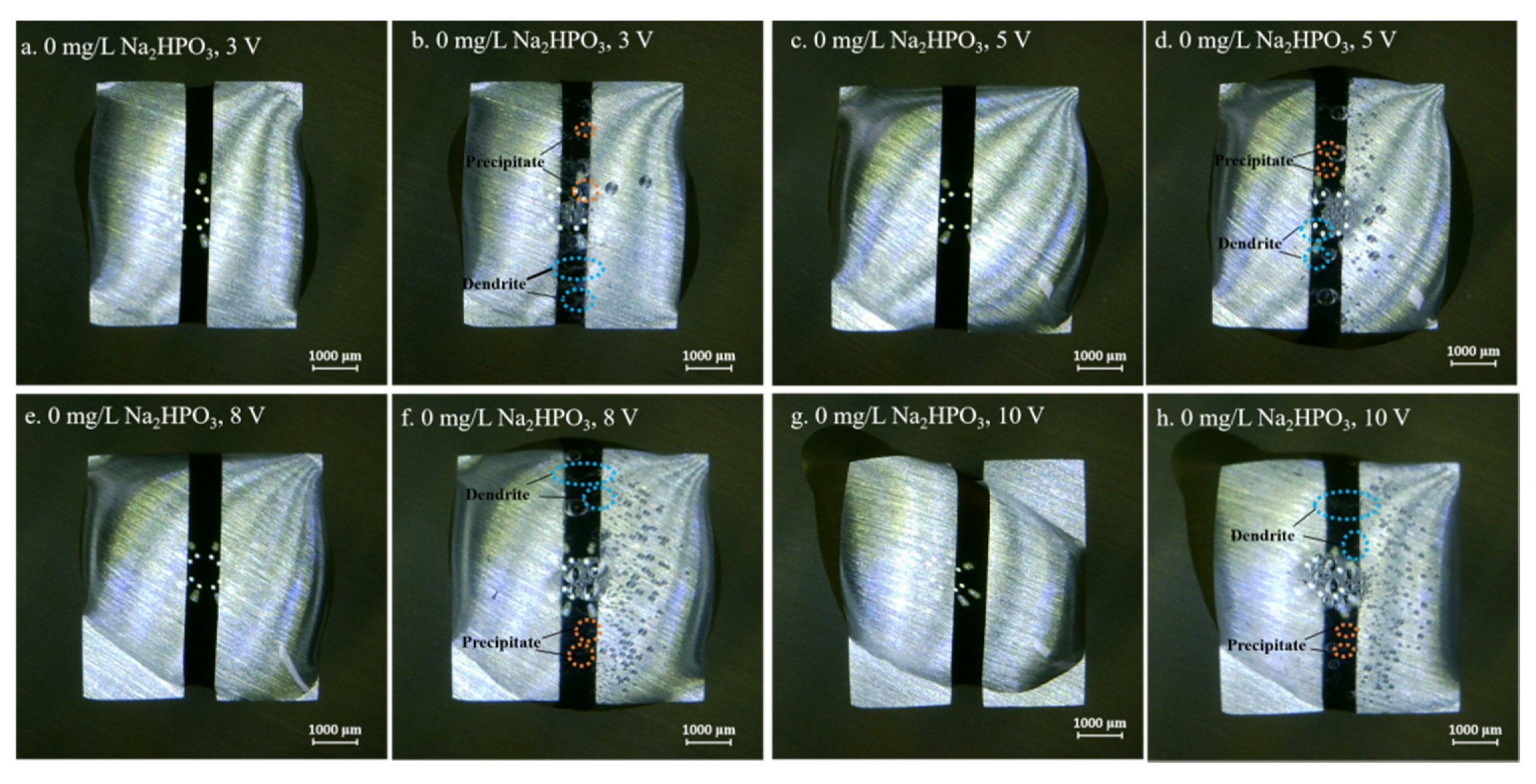 Metals 10 00942 g004