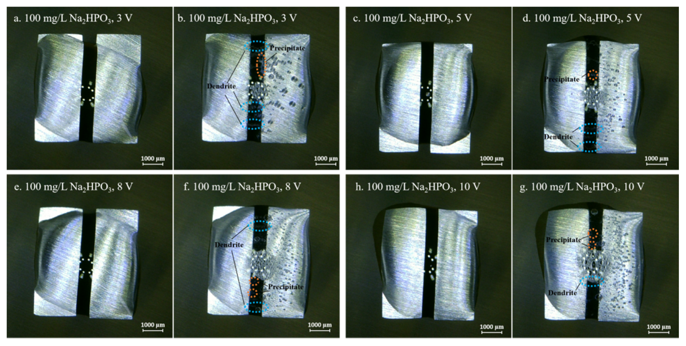 Metals 10 00942 g006