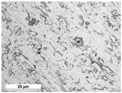 Metals 10 00974 i001 Metals 10 00974 i001