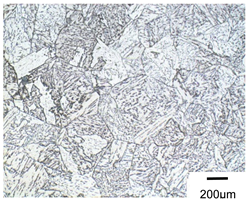 Metals 10 00974 i015 Metals 10 00974 i015