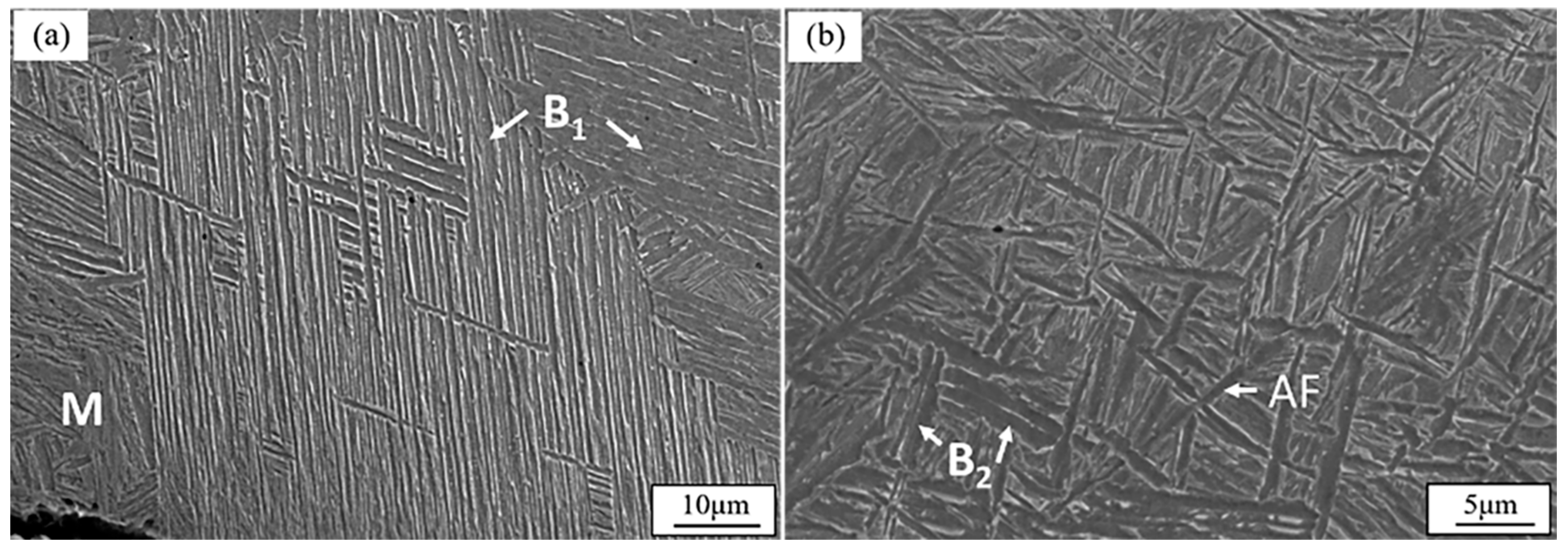 Upper Bainite Microstructure