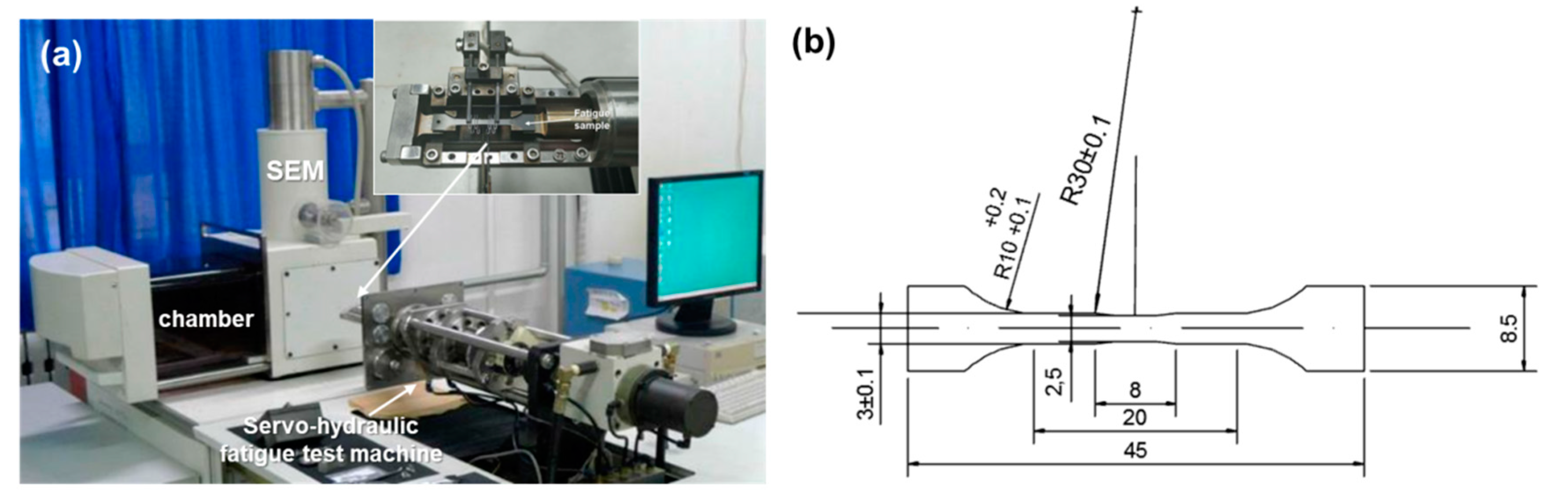 Metals | Free Full-Text | Fatigue Fracture Mechanism of a Nickel