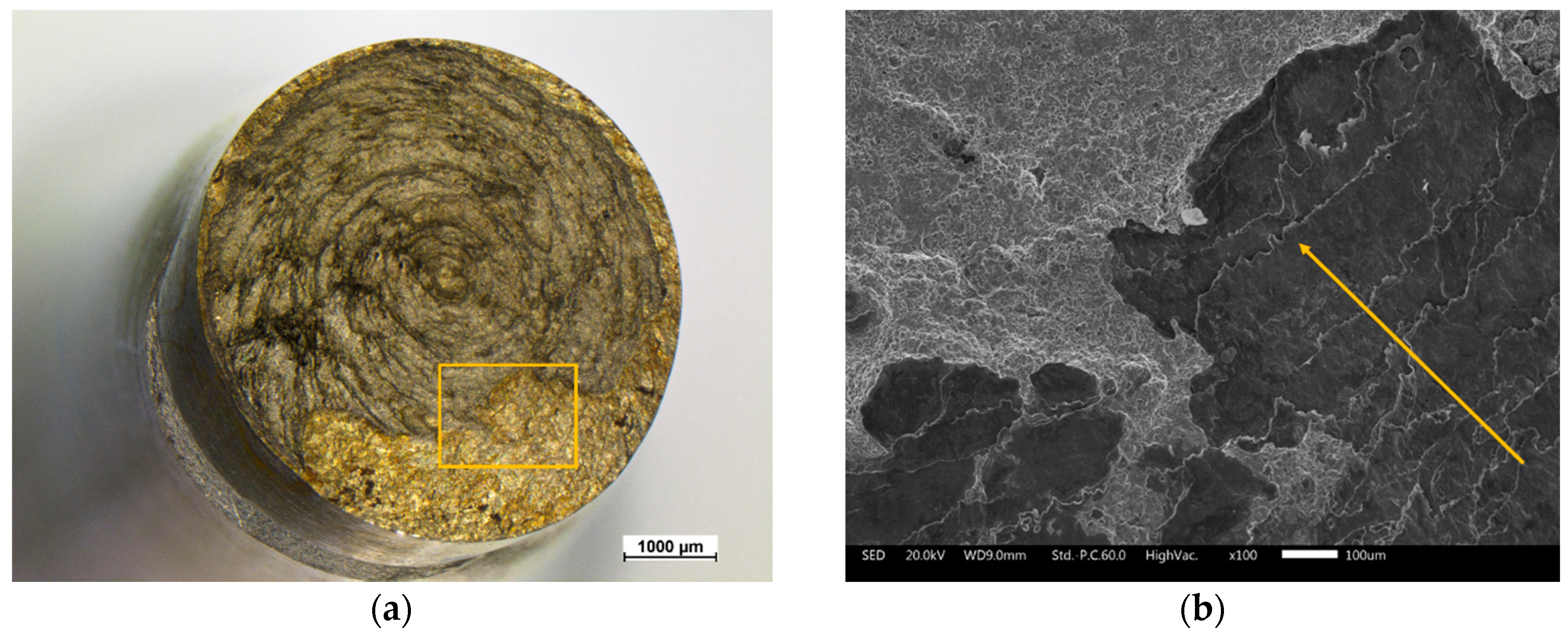 Metals 10 01018 g011