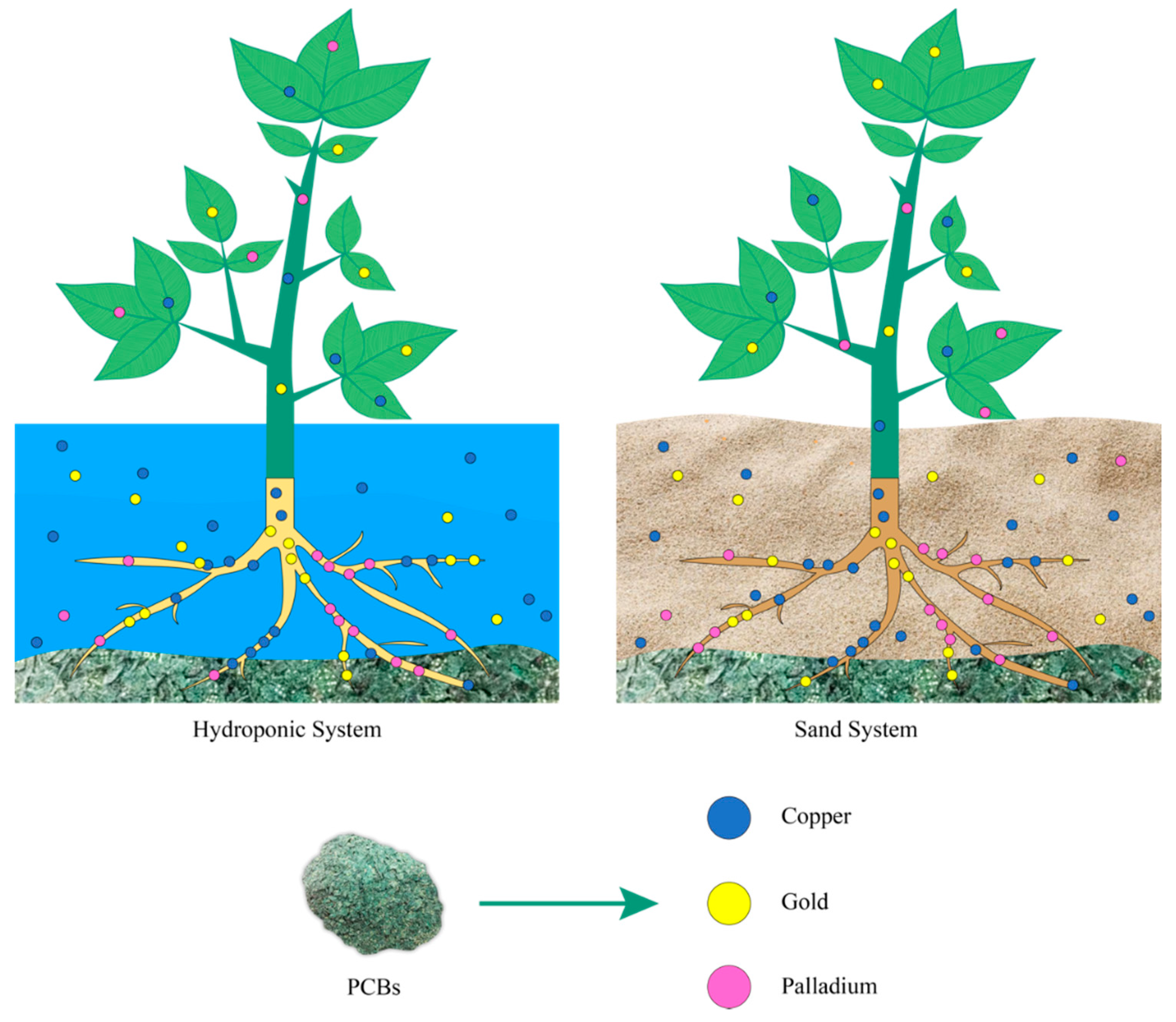 Metals 10 01120 g004