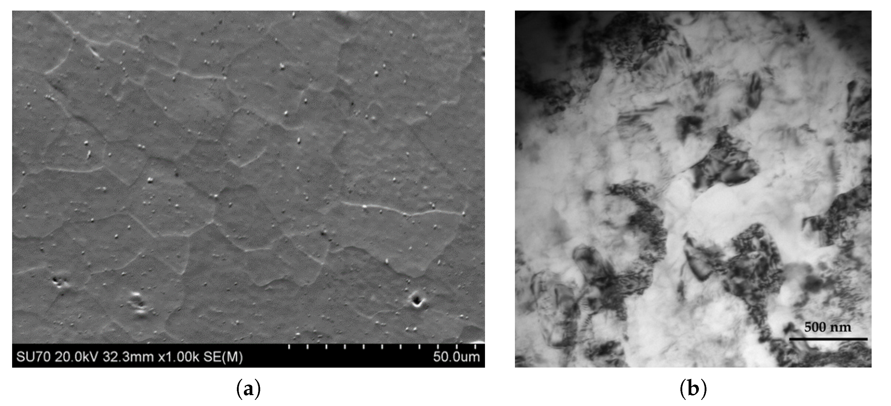 Metals 10 01126 g006 Metals 10 01126 g006