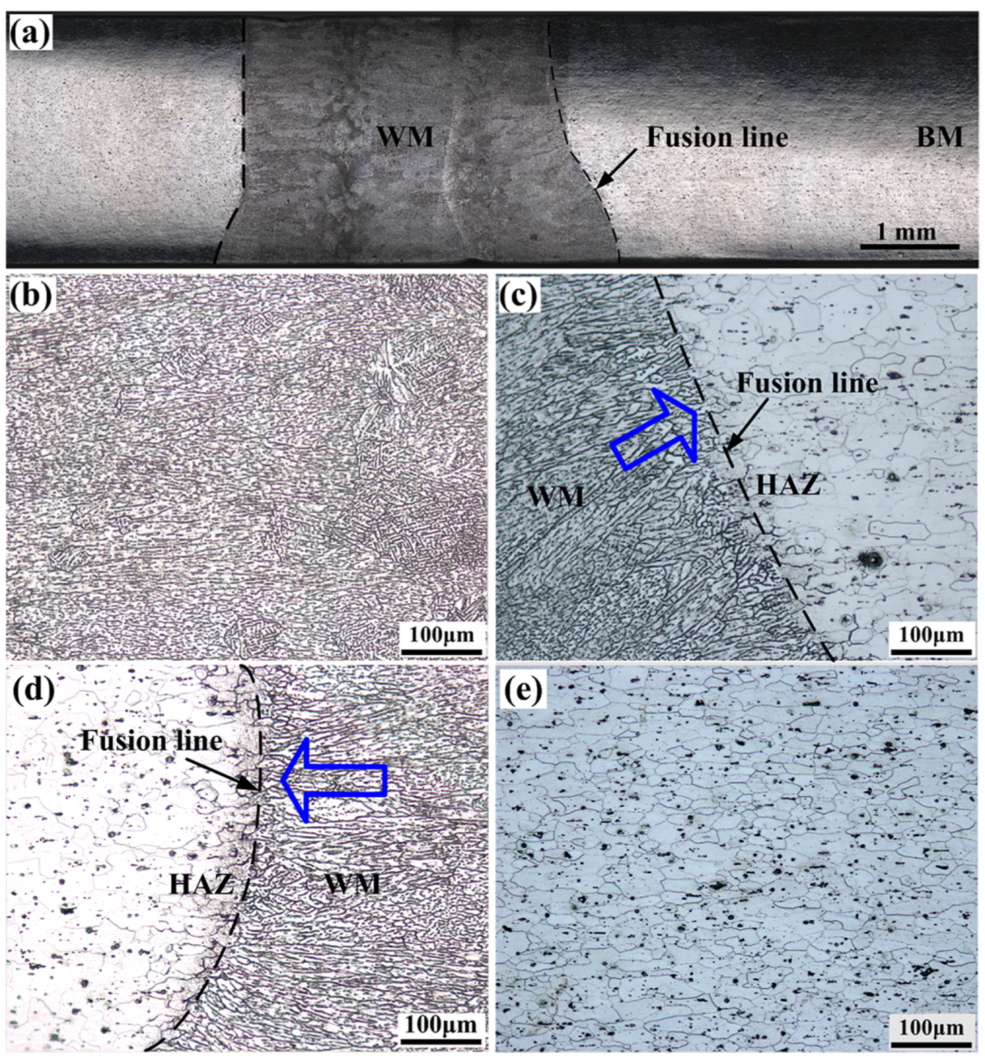 Metals 10 01145 g002