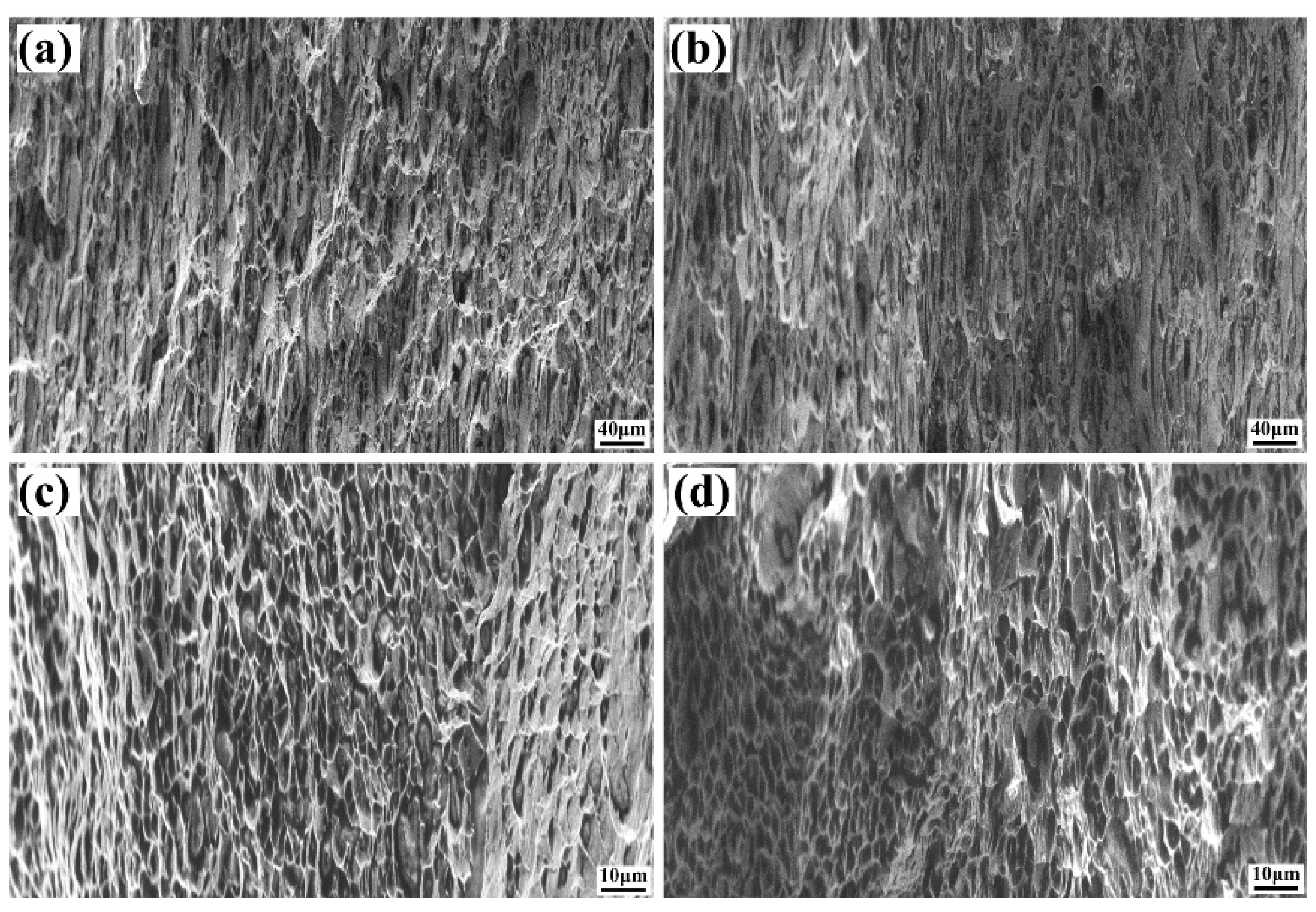 Metals 10 01145 g007