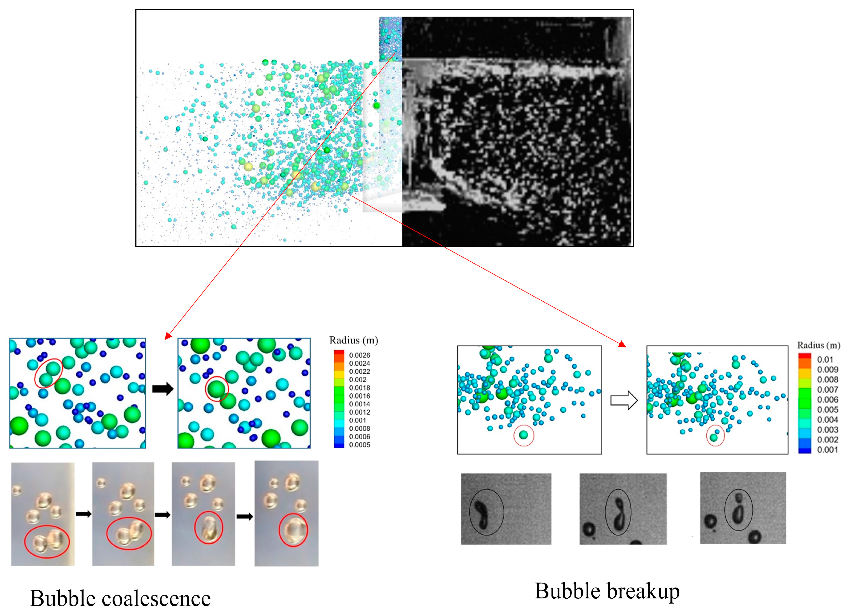 Metals 10 01160 g003