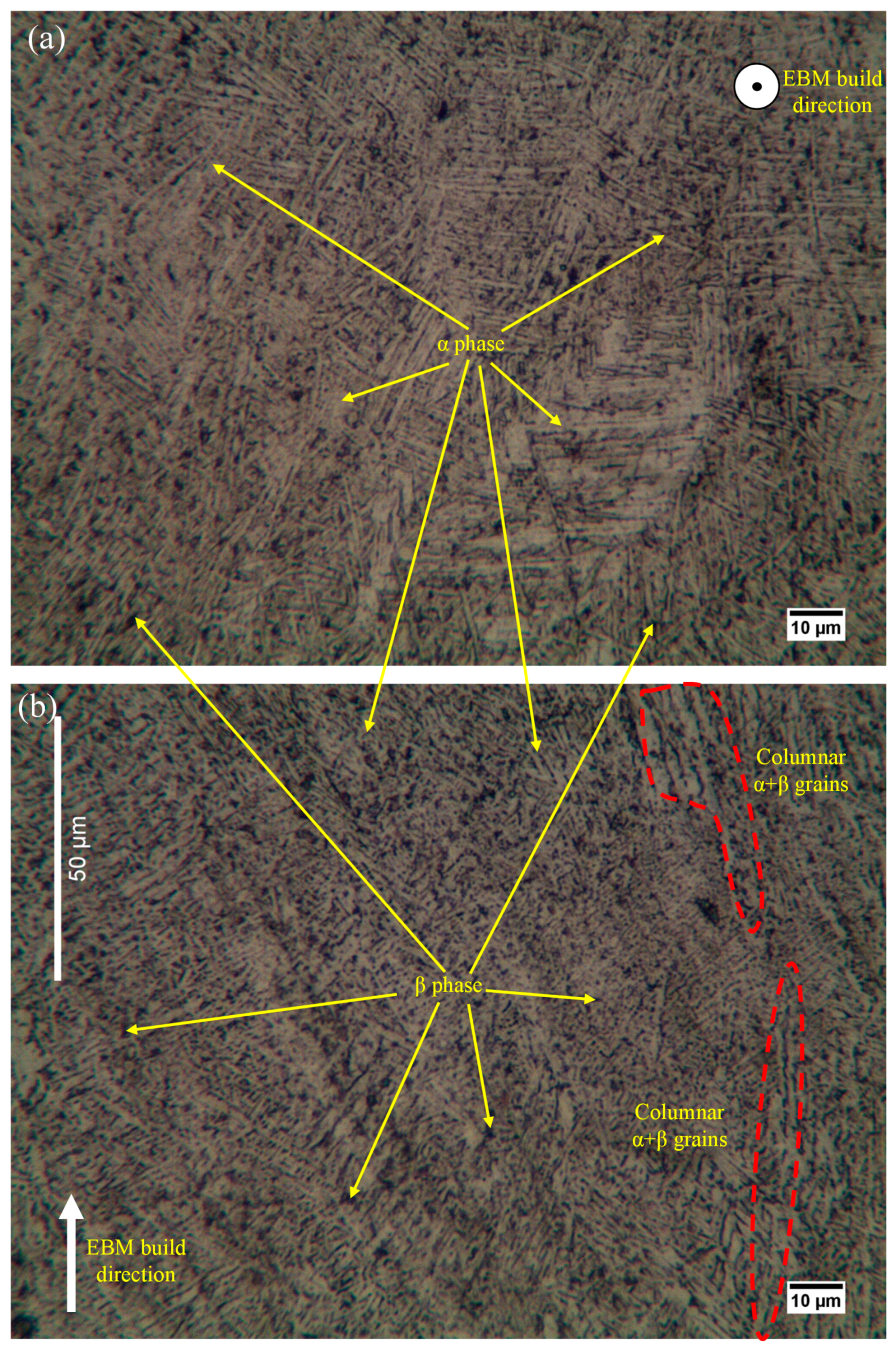 Metals 10 01172 g005
