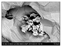 Metals 10 01177 i006 Metals 10 01177 i006