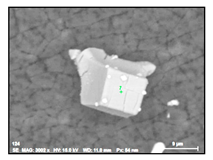 Metals 10 01177 i011 Metals 10 01177 i011