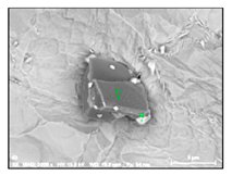 Metals 10 01177 i012 Metals 10 01177 i012