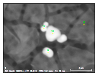 Metals 10 01177 i013 Metals 10 01177 i013