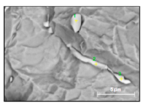 Metals 10 01177 i014 Metals 10 01177 i014