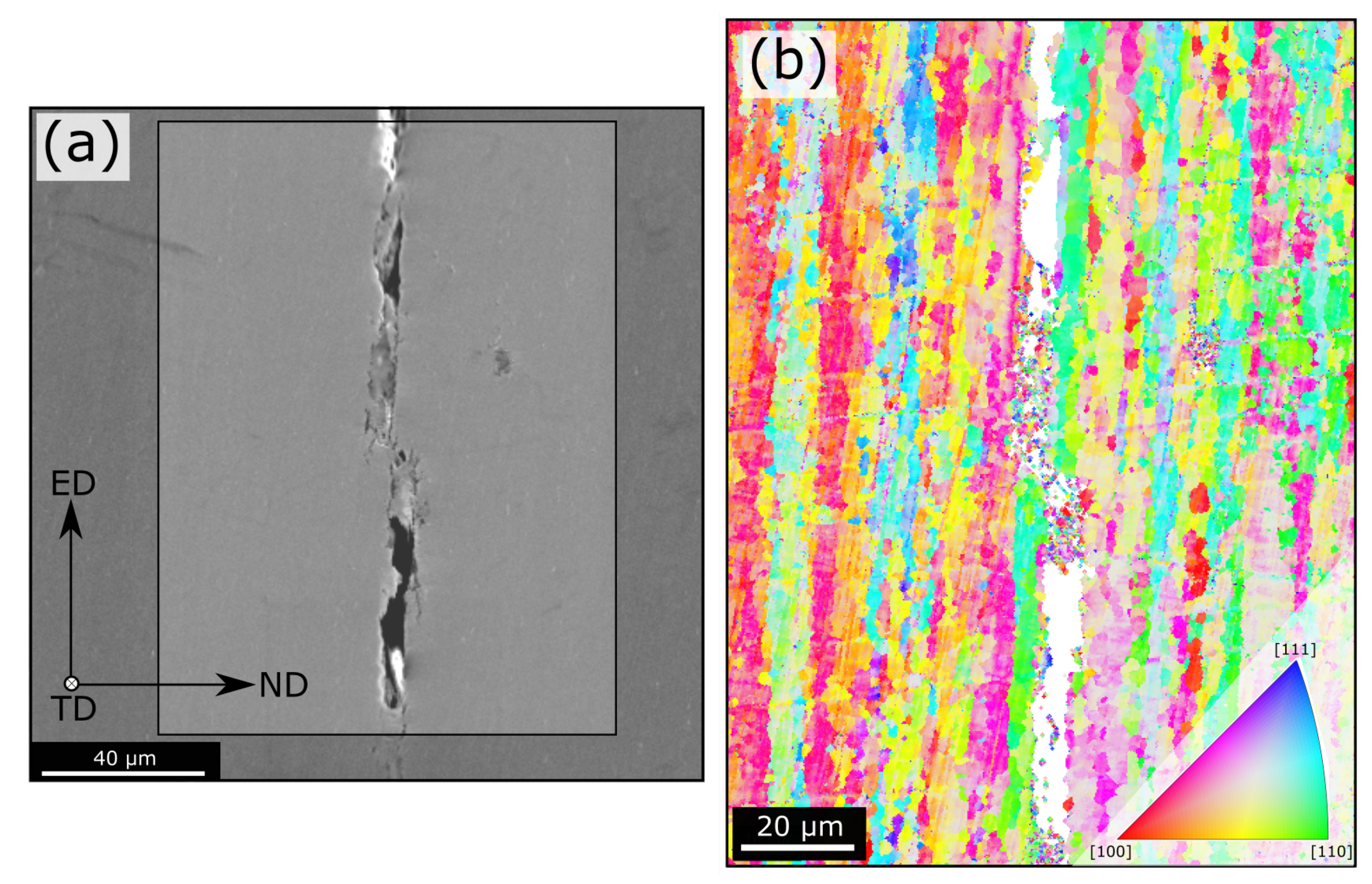 Metals | Free Full-Text | Stress Corrosion Cracking in an Extruded Cu-Free  Al-Zn-Mg Alloy
