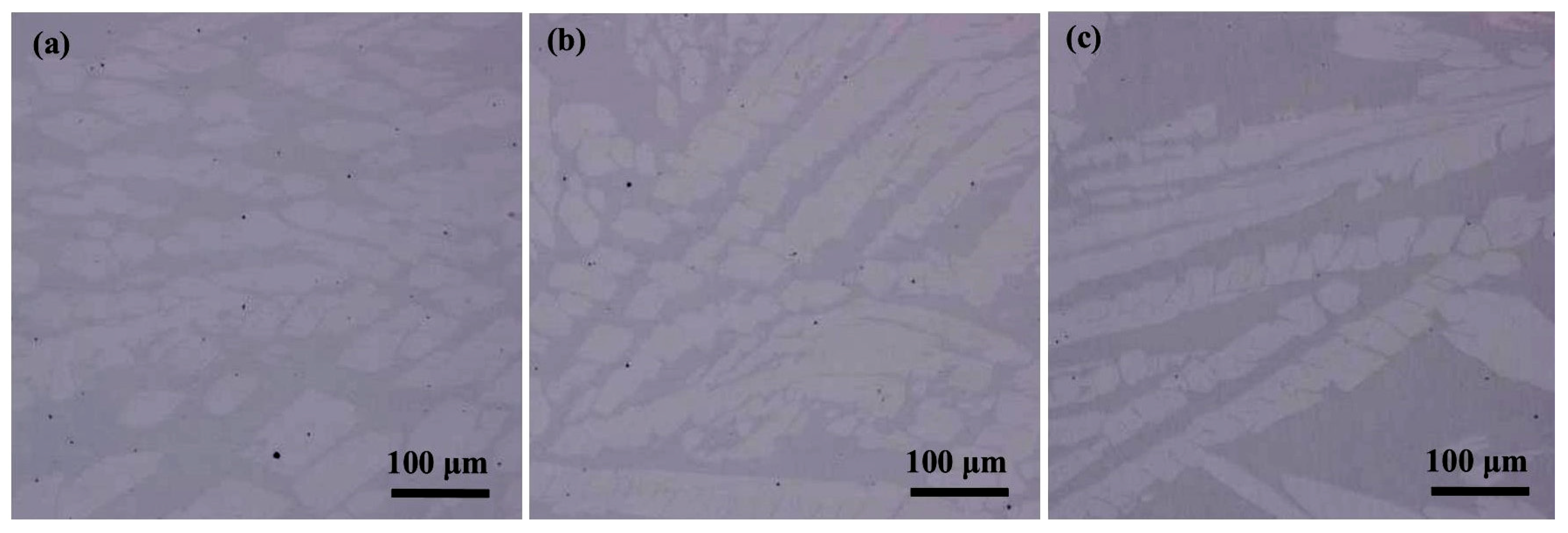 Metals 10 01233 g003