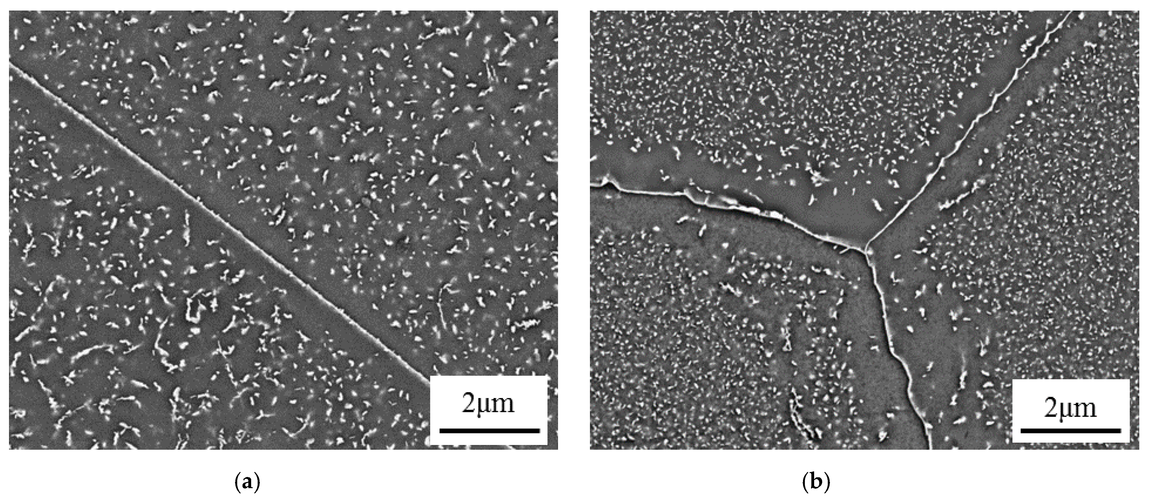 Metals 10 01300 g002a Metals 10 01300 g002a