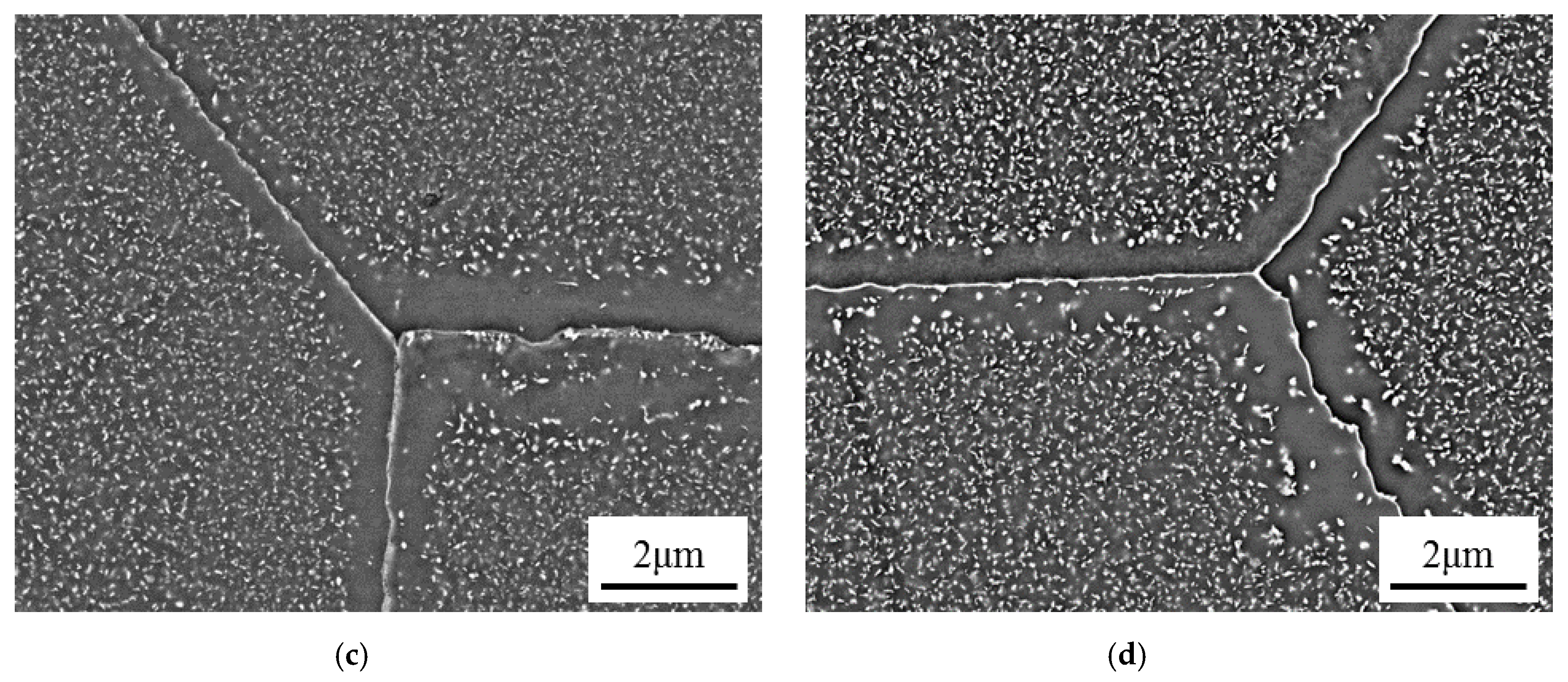 Metals 10 01300 g002b Metals 10 01300 g002b