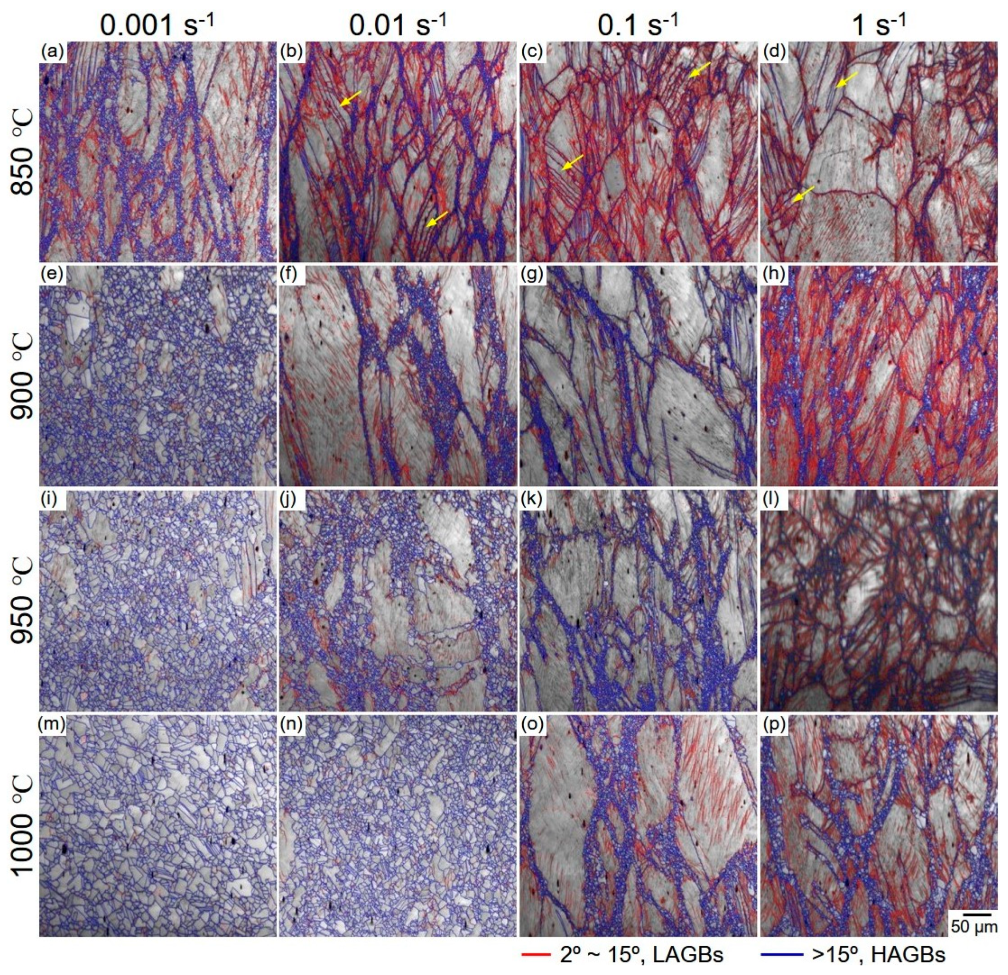 Metals 10 01341 g006