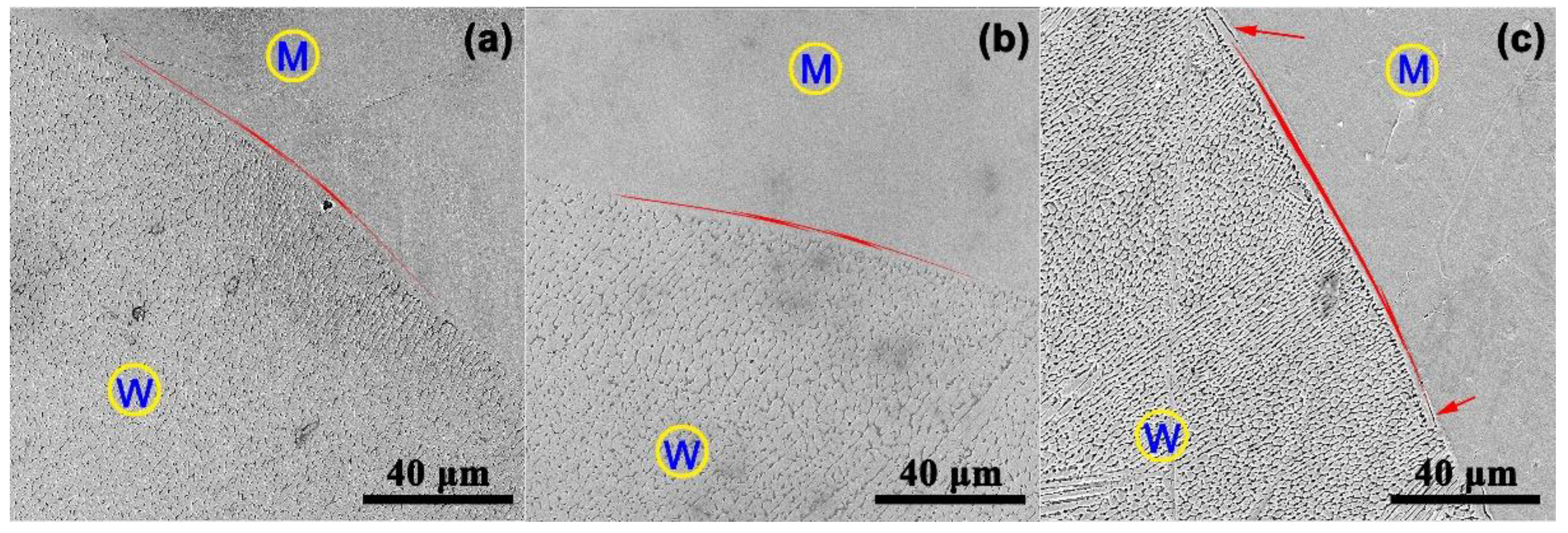 Metals 10 01402 g004